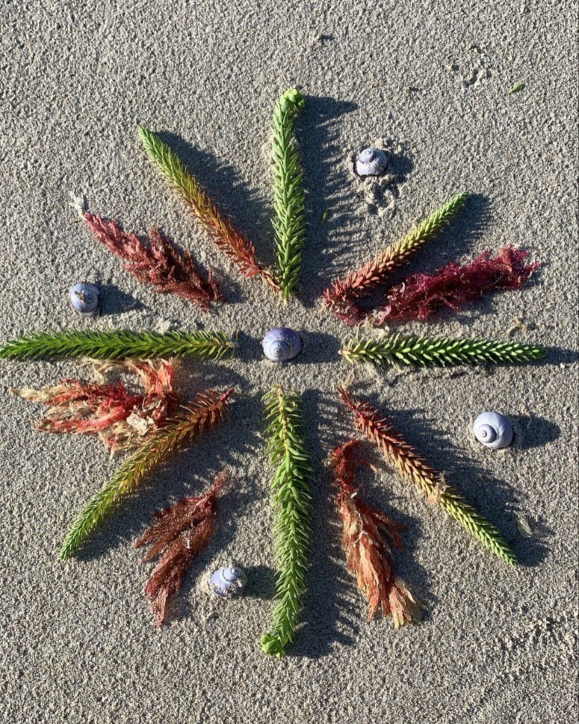 Earth altars don&rsquo;t need to be extravagant.

This practice began as a healing tool for me - a way to reconnect with myself and the natural world. It wasn&rsquo;t about creating impressive or intricate pieces (though those naturally came as I dee