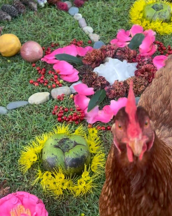 There&rsquo;s something so special about the way animals respond to Earth Altars. I often notice them drawn in - curious, calm, and present, as if they can feel the energy of the portal created and want to be part of it too.

It reminds me that these