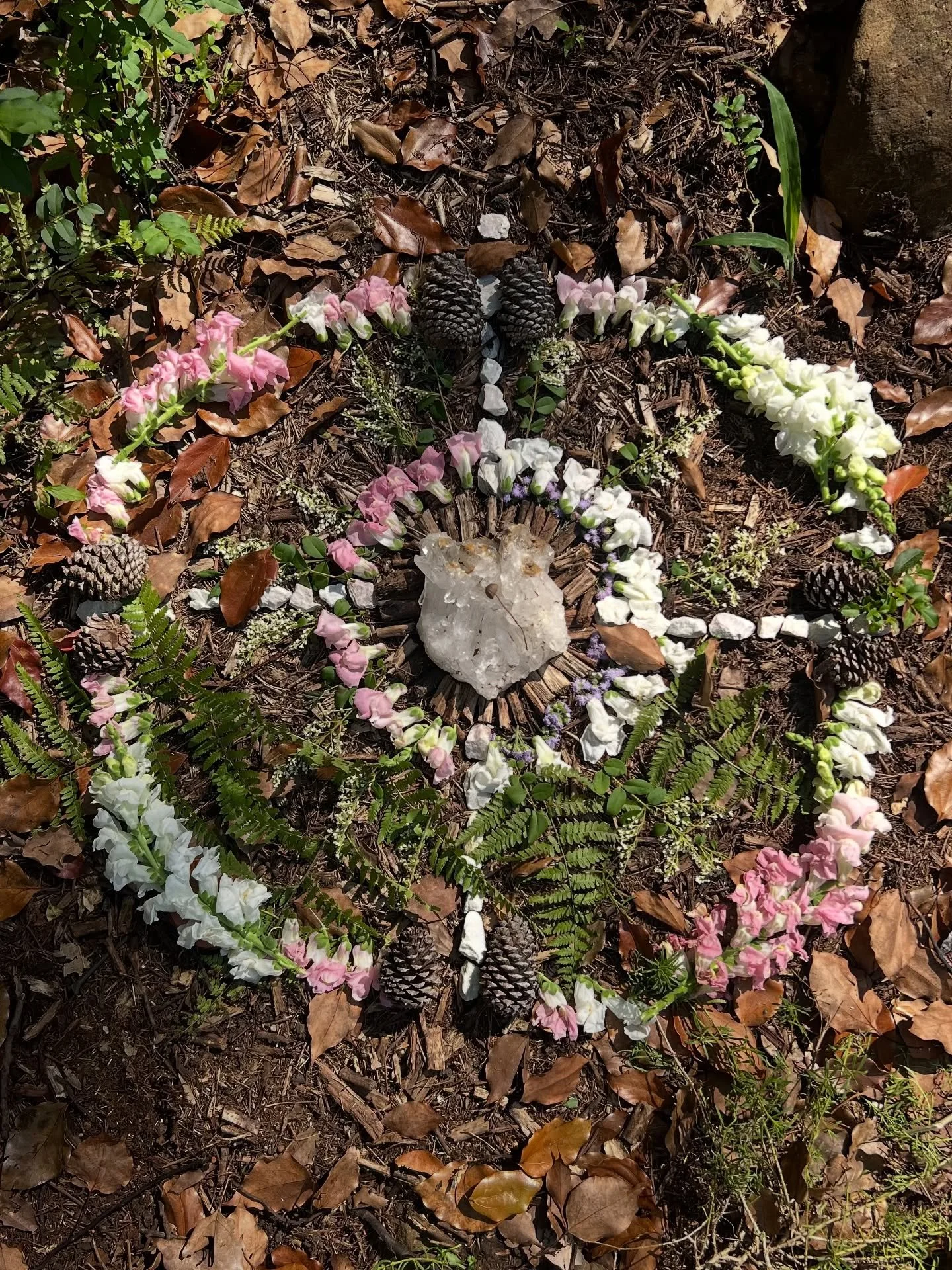 Life is a ceremony. In your rising, we all rise. When I have a birthday celebration, we all are celebrated. Ritualising mundane moments is the secret code that reminds us of our shared belonging to the greater web of life 🕸️🌿🌸

Magic moments with 