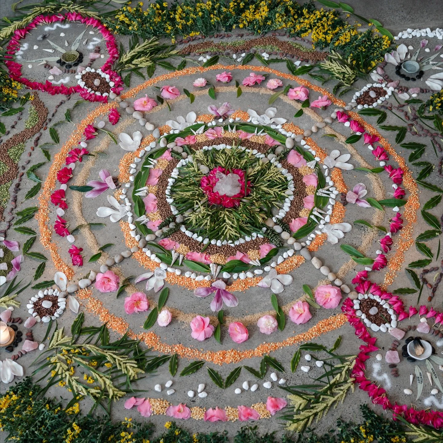 One of my favourite parts of this work is seeing how this practice ripples out into the world 🌍

Here are some beautifully captured collaborative Earth Altars at events and gatherings guided by women I have had the honour of connecting with through 