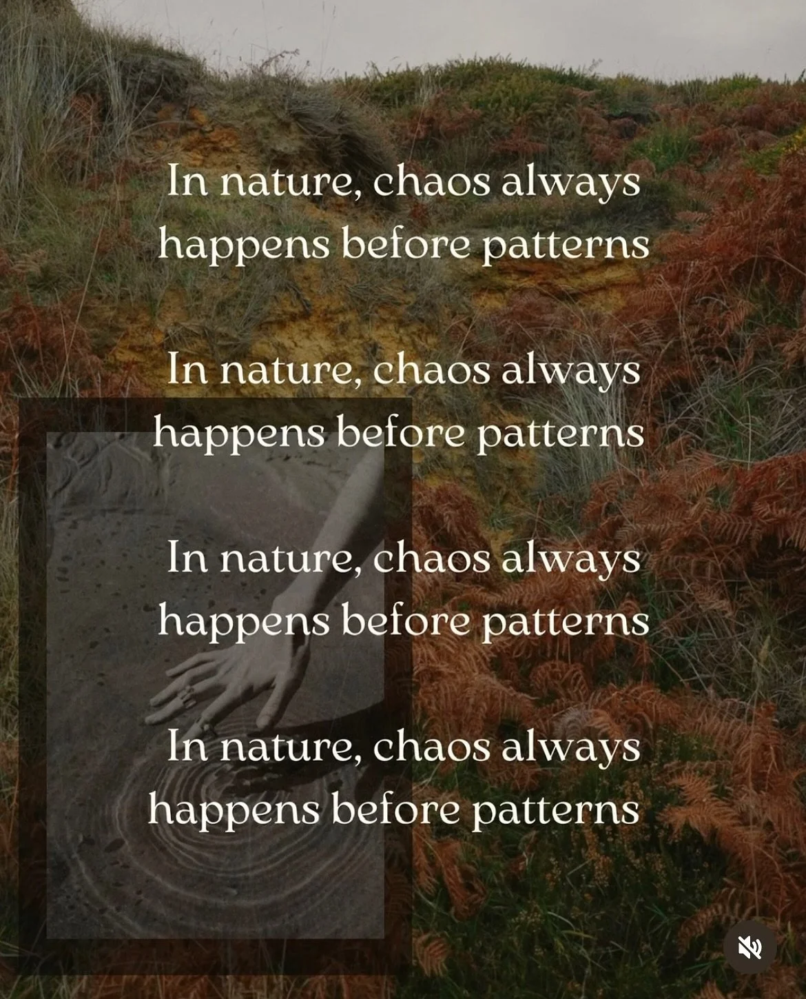 Nature teaches us that chaos is part of the pattern, that even in disorder, there&rsquo;s a deeper rhythm unfolding. 

Change is the only constant, and maybe our work is simply to surrender to it&hellip; to rest, notice beauty, and make art from what