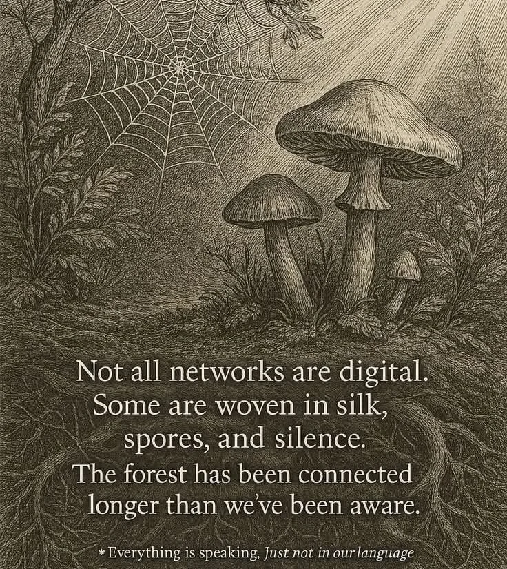 Remembering our connection to the Earth matters now more than ever 🍃🍄🦶🏽

Slide 1: Source unknown
Slide 2: @earth.altering 
Slide 3: Source unknown
Slide 4: @earth.altering 
Slide 5: @lincolnjesser 
Slide 6: @lidapavlova_magic 
Slide 7: @earth.alt