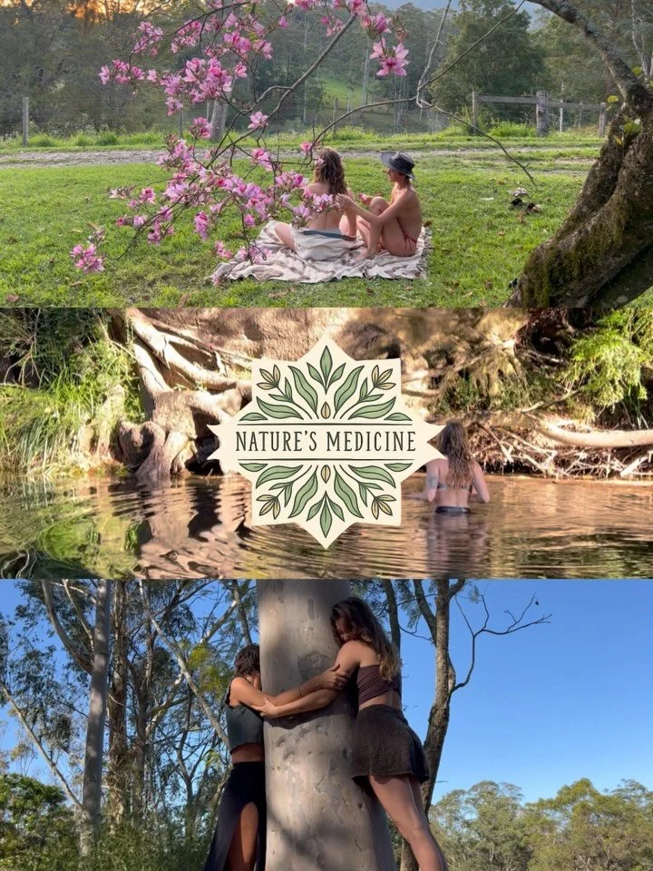 Nature&rsquo;s Medicine 🍃 (A new online course that I have created with @the.chrysaliseffect ) is SO close to launching! ✨

This offering has been quietly growing in the background for a number years, evolving at its own natural pace - a reminder in