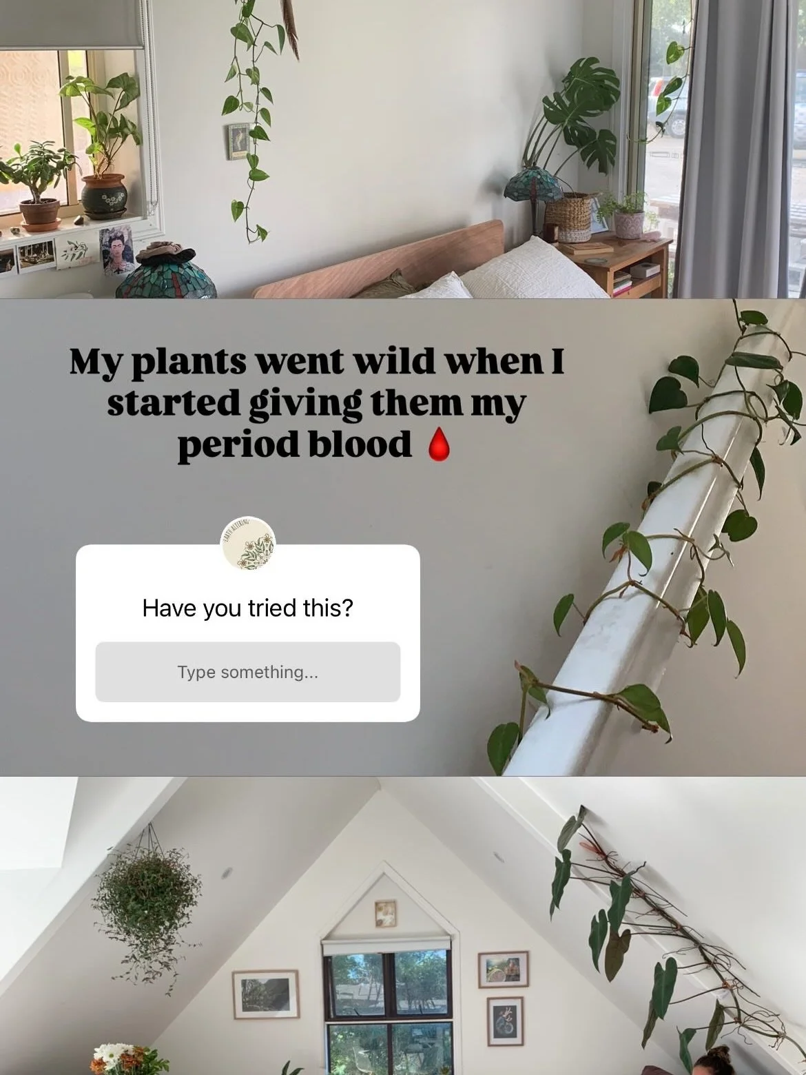 If you&rsquo;re not watering your plants with your menstrual blood&hellip; what are you even doing?

Don&rsquo;t waste that nutrient-dense magic elixir 🩸