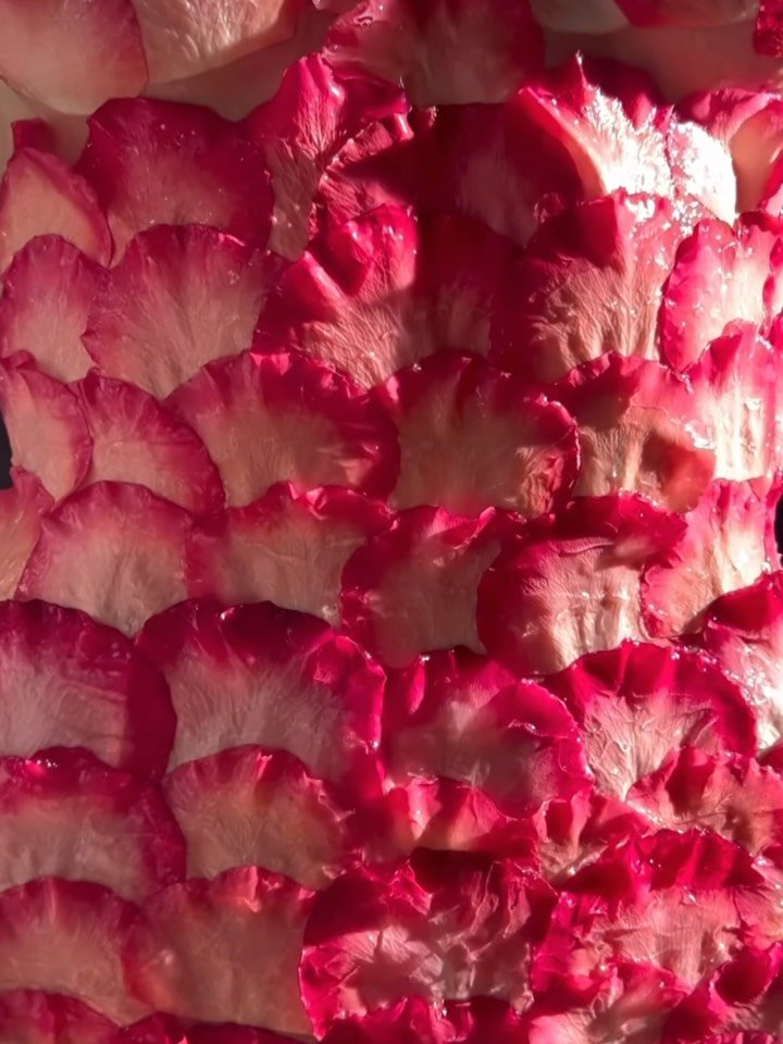 Pisces season invites us to surrender, soften, and dissolve into something greater than ourselves. 🐚🌊

This is a time to honour the spirit and emotional body as Water: intuitive, compassionate, mystical, and boundless. Rest in the in-between. Liste