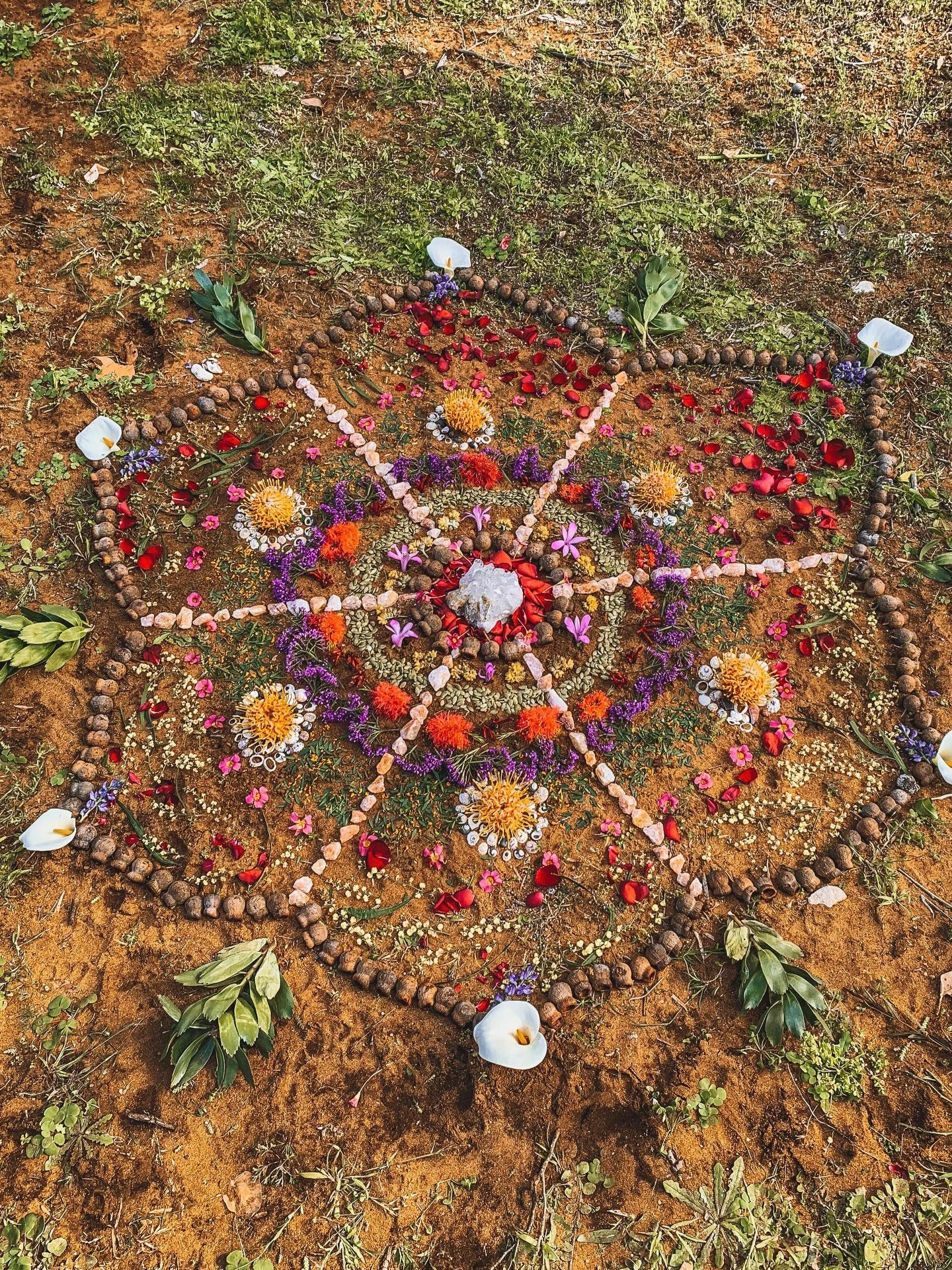 This Earth Altar was created on Wardandi Noongar Country (South West Aus) back in 2021 with my sissy&rsquo;s @montanalower &amp; @sally_foord 🥹🫶🏽

Monny was finishing her breastfeeding journey and offered the last of her milk back to the earth - a