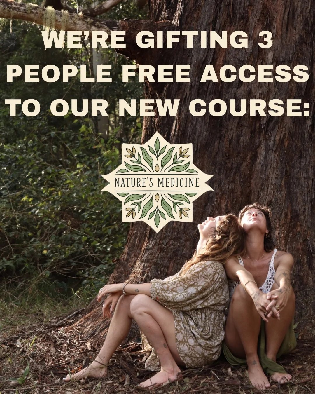 We&rsquo;re getting ready to fully launch Nature&rsquo;s Medicine and are offering complimentary access to 3 people to experience the course before we share it with the world 🍃✨🫶🏽

This is an invitation to truly immerse yourself in the journey - t