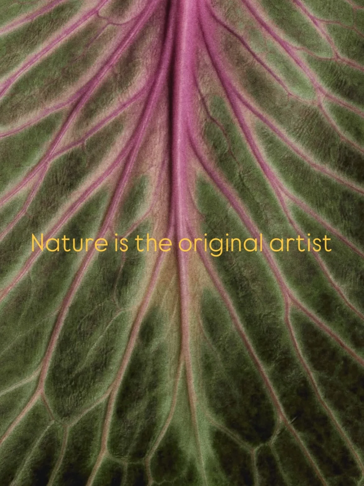 The same patterns echo through everything. We carry natures geometry in our bodies. Fractals repeating endlessly through cells, seasons, nervous systems and galaxies.

And naturally, these patterns spill into our art too.
Into the spirals we draw abs