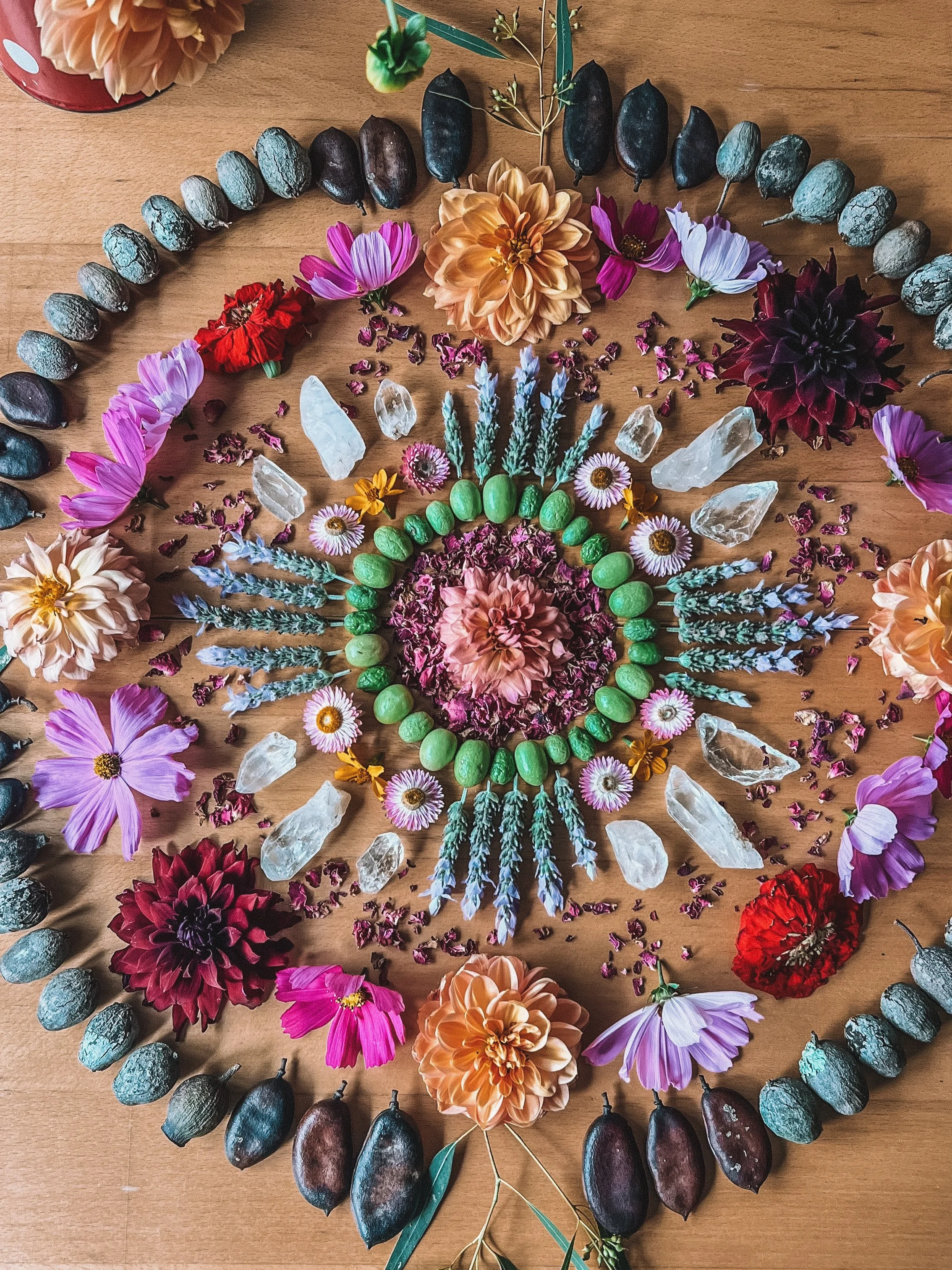 13/04/2026 - Autumn 🍂 
📍Wurundjeri Country, Brunswick, VIC

I create art with my hands from natural materials which has me slowing down enough to notice colour, texture, symmetry, scent and shape on my walks.

Creating with the Earth is so nourishi