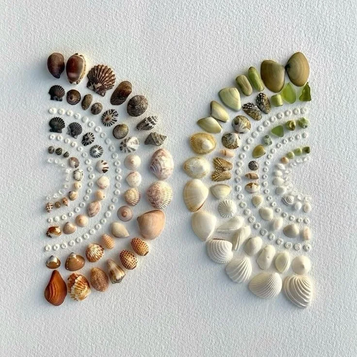 🐚 Inspo!! By @dina_toporska_art 🙌🏽

Song: @renmakesmusic 🎶

#natureart #shellart #naturemandala #natureartist #creativeinspiration