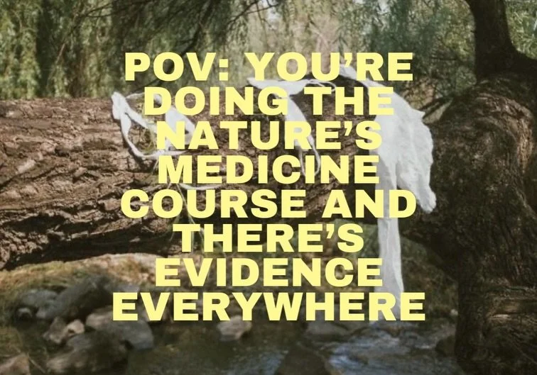 FULL MOON CIRCLE 🌕

Coming at the end of August&hellip;

An online gathering for the Nature&rsquo;s Medicine community.

Ritual.
Reflection.
Connection.
Nature.

Details coming soon.

Comment &ldquo;NATURES MEDICINE&rdquo; to join the course and be 