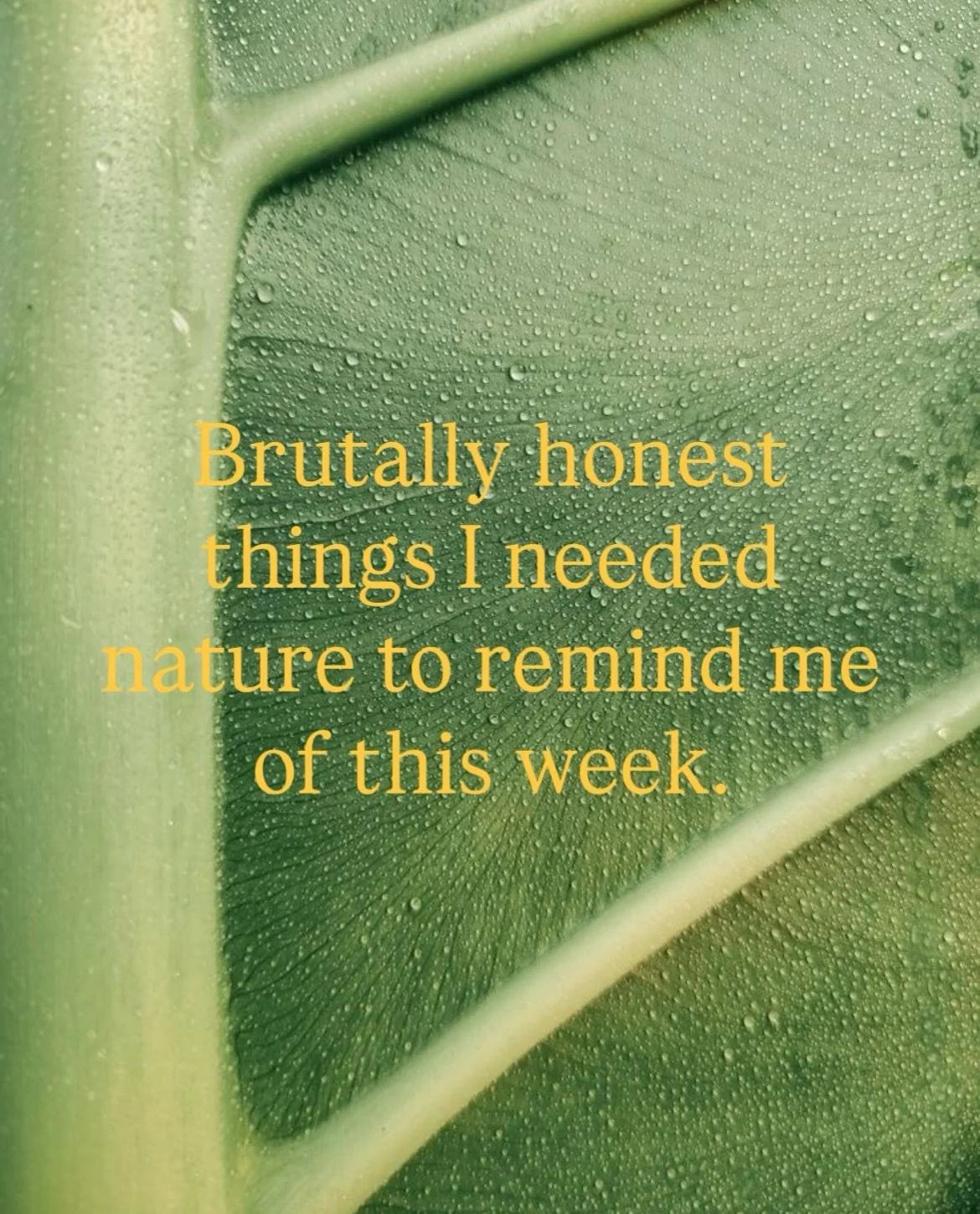Nature has been brutally honest with me lately 🌿

Here are a few reminders I needed to hear and maybe you do to?

#naturetalks #naturesmedicine #healingthroughnature #brutallyhonest #wisewordsofwisdom