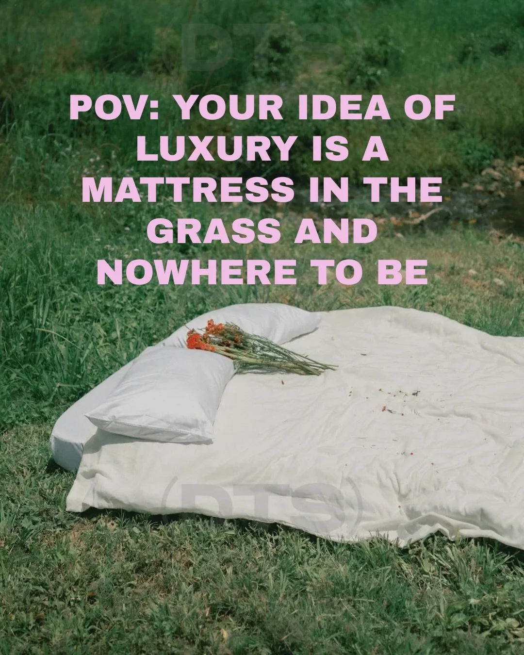 Why is my Pinterest basically just comfy little nooks in nature? 🌿

And why do I keep daydreaming about a life that looks nothing like the one I was told I should want?

I actually think our vision boards, Pinterest searches, saved photos and comple