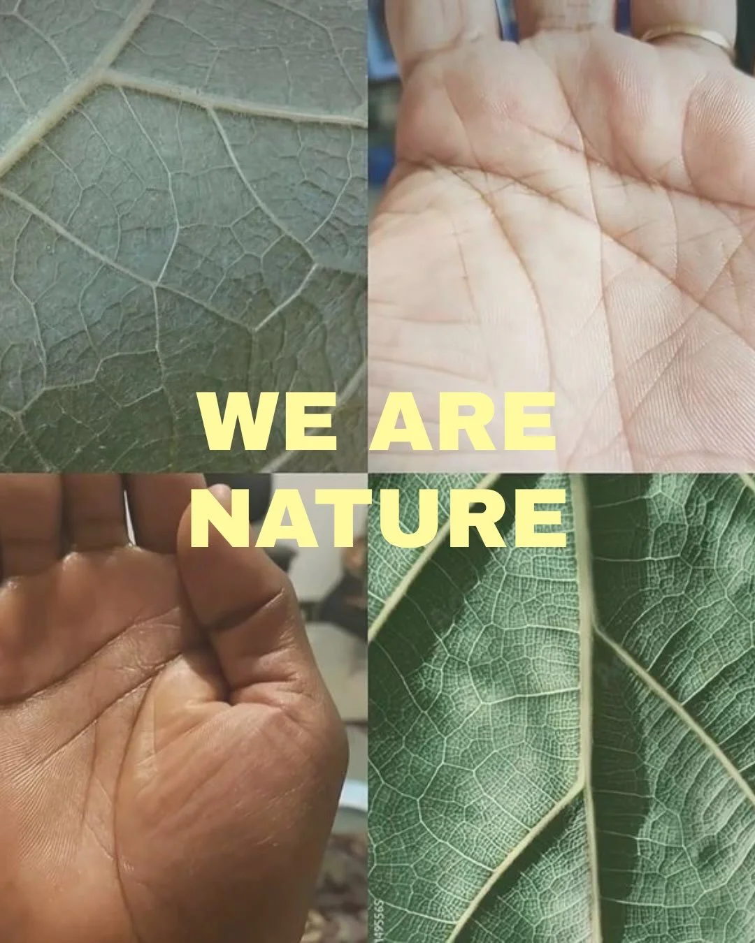 I&rsquo;m fascinated by the parallels between our human experiences and the natural processes happening all around us. The more I pay attention, the more I realise how intrinsically connected we are.

Perhaps there&rsquo;s something to be gained from