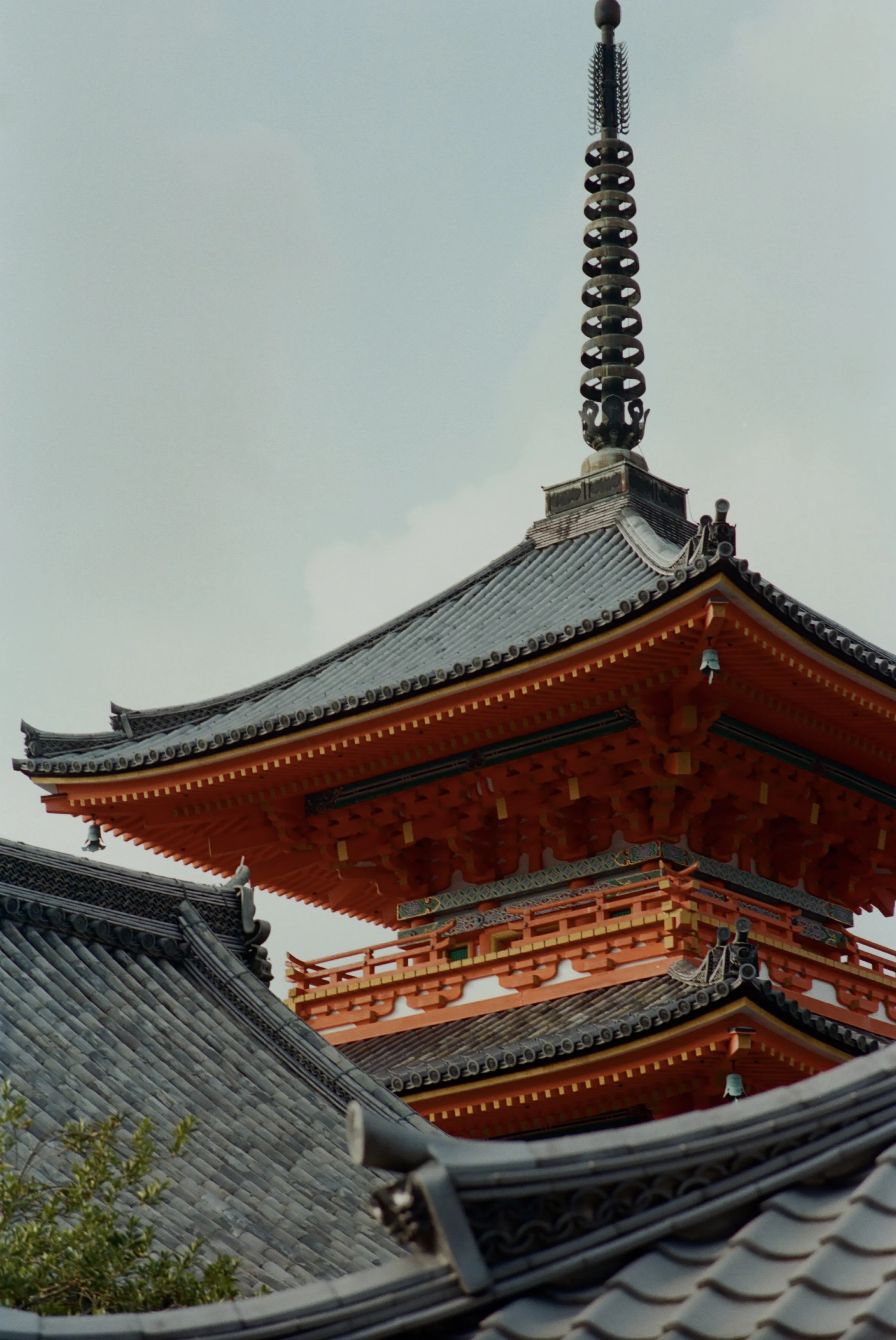 35mm color film (2026)