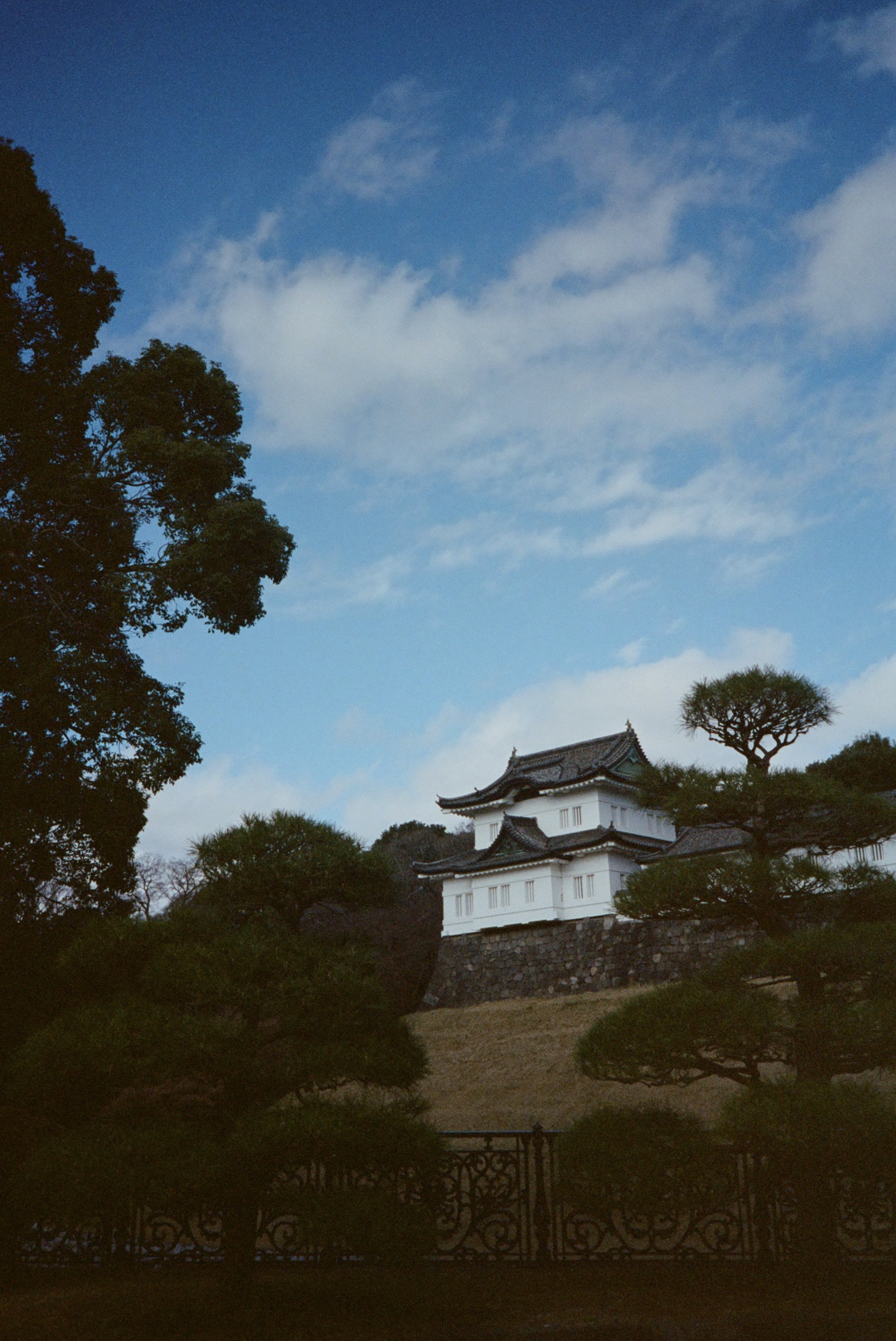 35mm color film (2026)