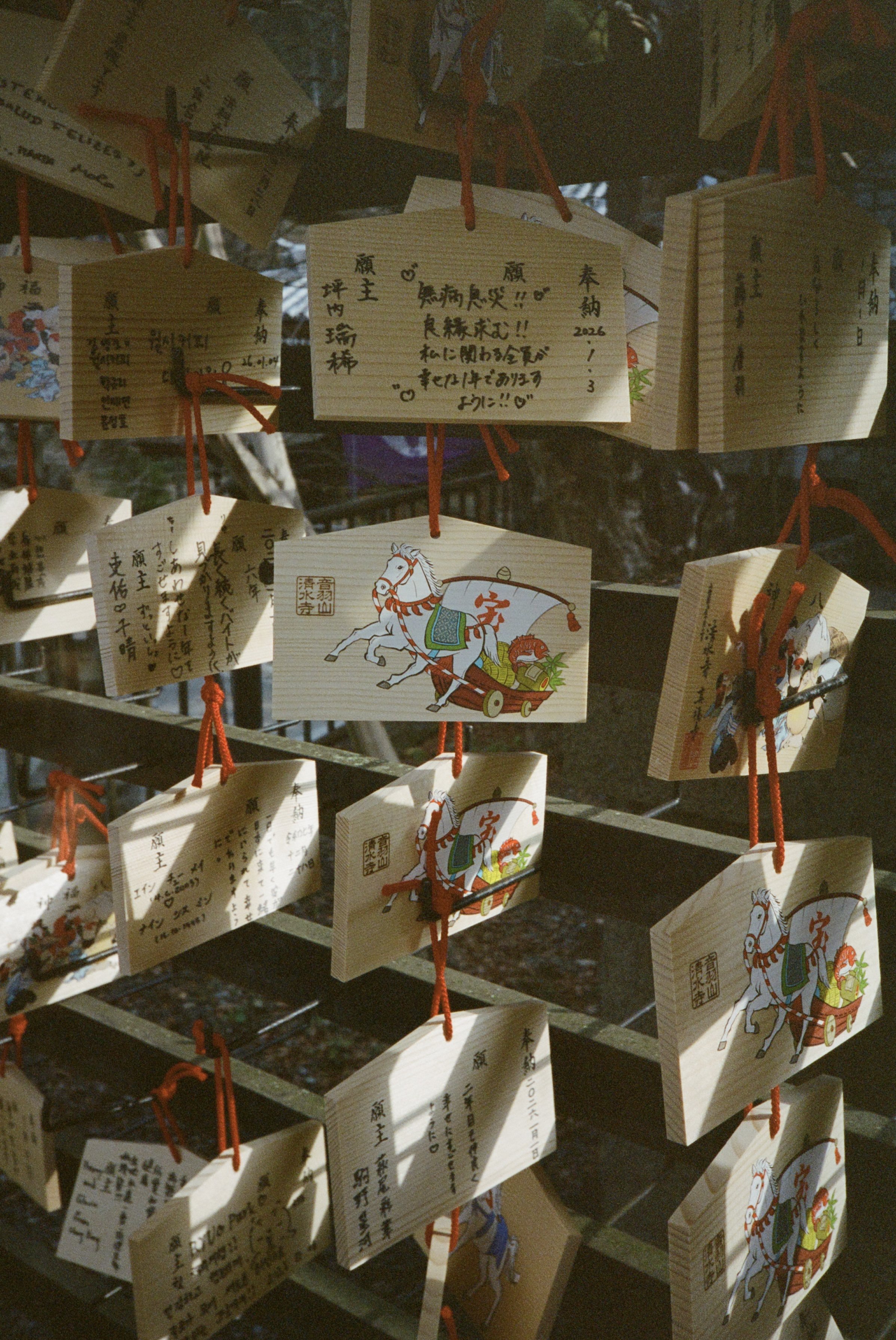 35mm color film (2026)