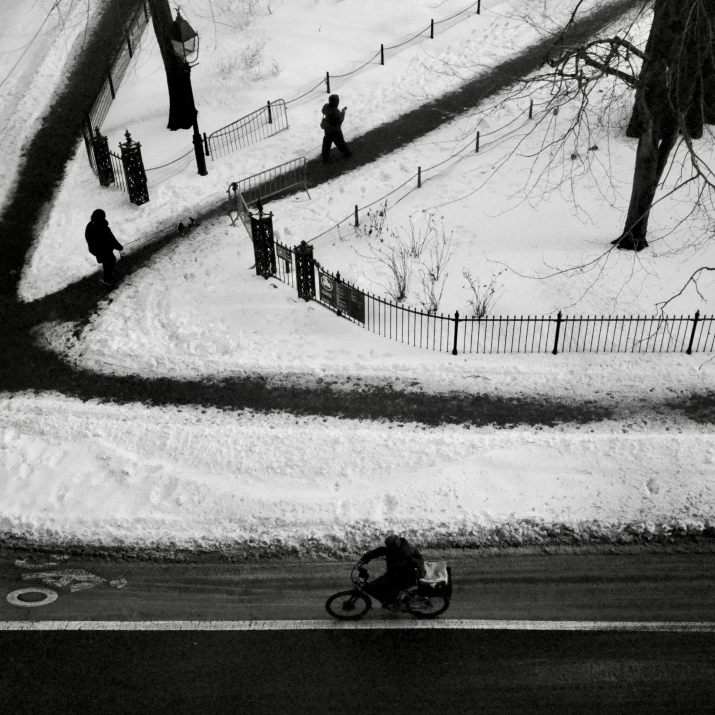 35mm black & white film (2026)