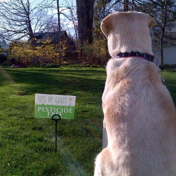 dog and GR sign.jpg