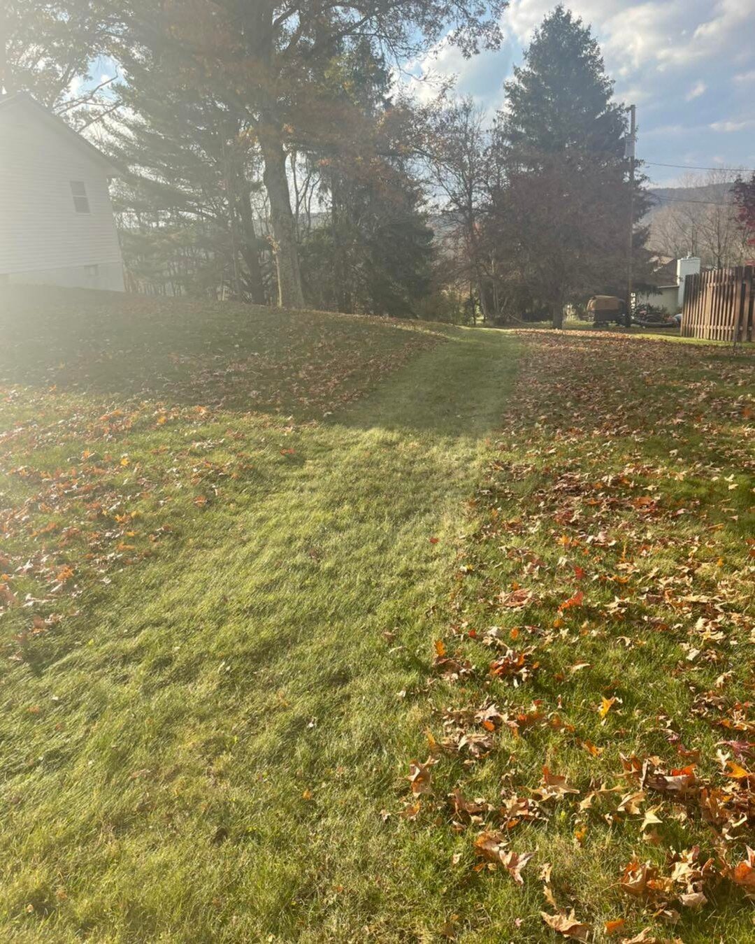 Guess where the leaf vacuum went 🧐🤔😂 #Leafremoval #leaf #leafs #leafblower #leafblowers