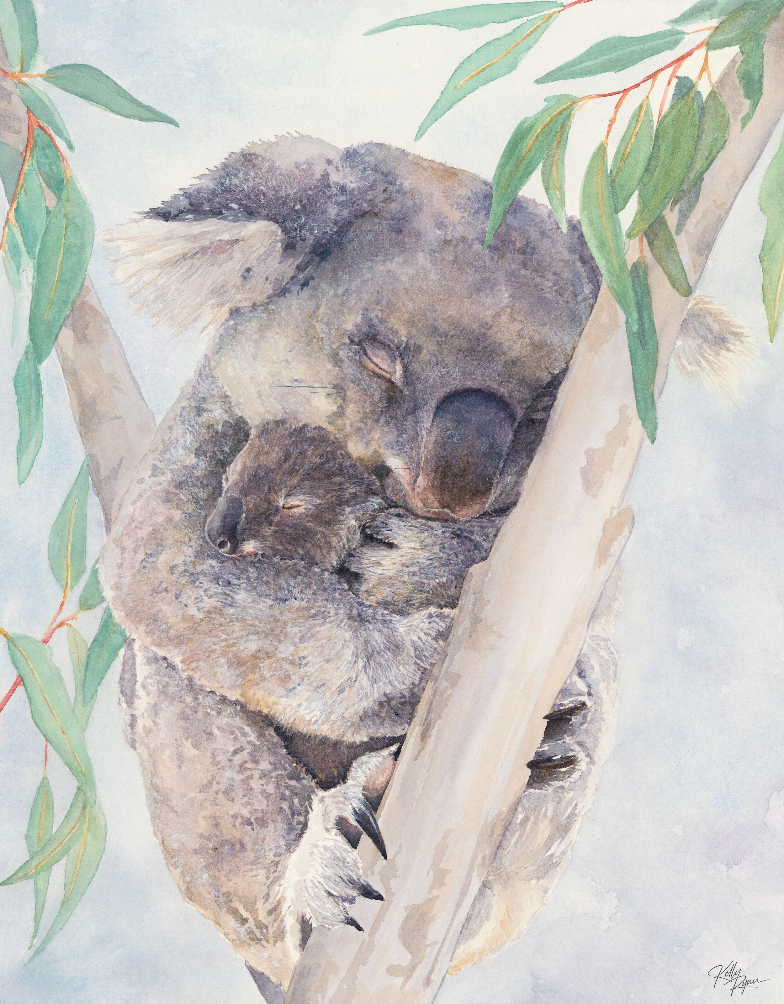 Australian Watercolour Animal Birds | Kelly Ryner — Kelly Ryner - Wildlife  In Watercolour