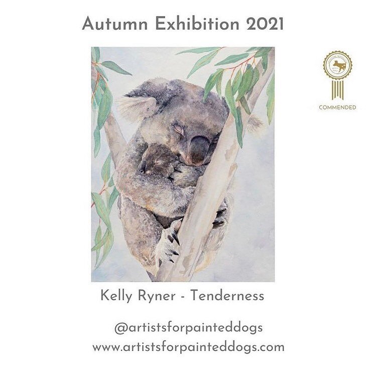 Simply thrilled to have been selected for this award. They say it says a lot about who you are by the company you keep, and this is some top of class company I&rsquo;m in. Thank you @artistsforpainteddogs for championing the protection of wildlife an