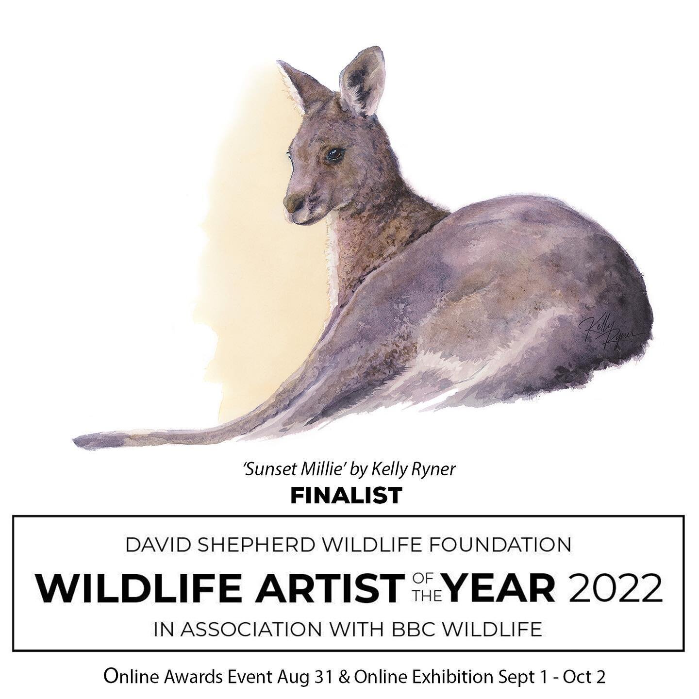 When I decided I wanted to become a Wildlife Conservation Artist, it was in large part, because I was moved by some of the extraordinary artists involved with the David Shepherd Wildlife Foundation.
 
To now be named a Finalist in the David Shepherd 