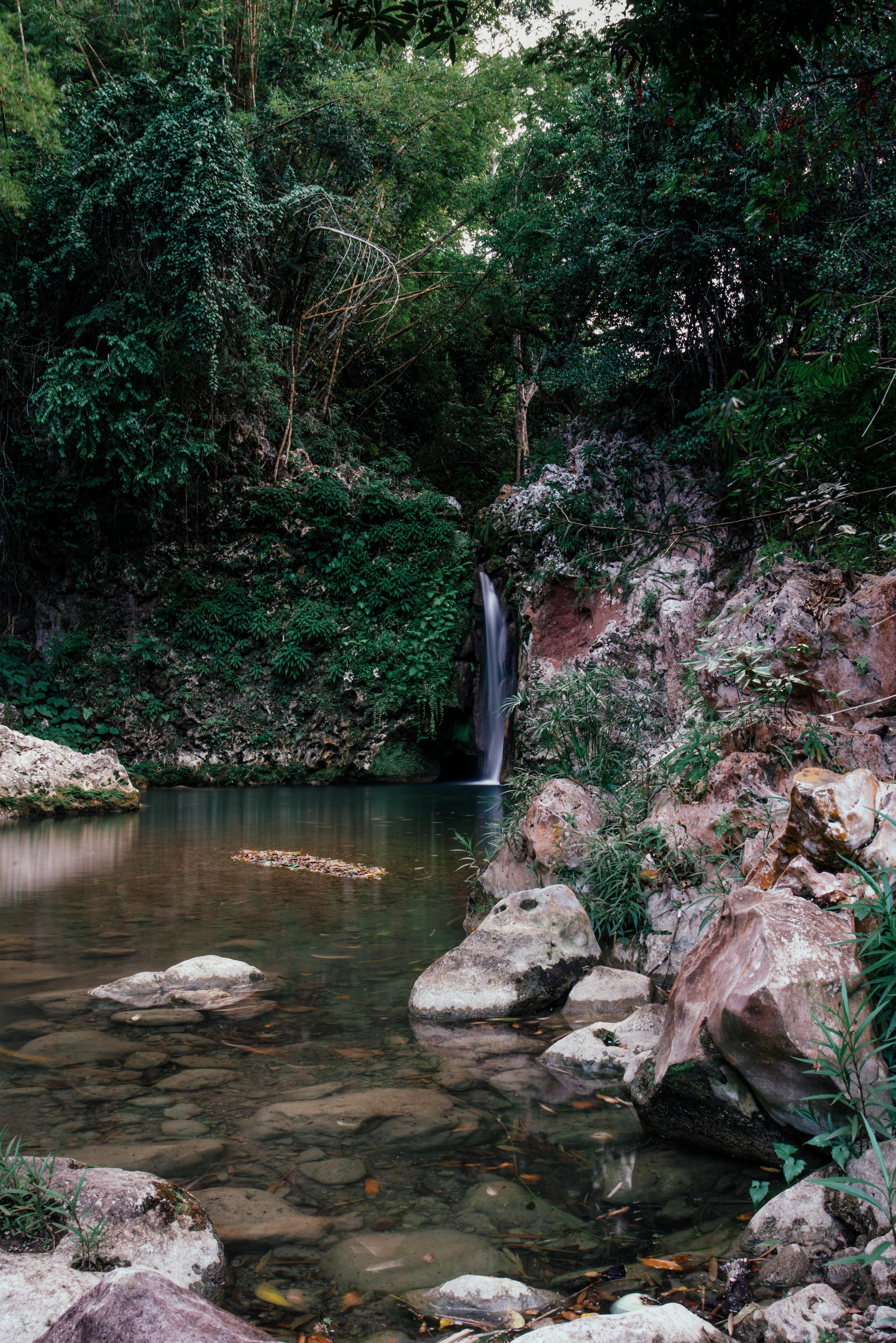 Mountain River Cave Waterfall, St Catherine Jamaica. A cave is located under the waterfall containing petroglyphs made by the original peoples of Jamaica prior to their extinction by the Spanish.