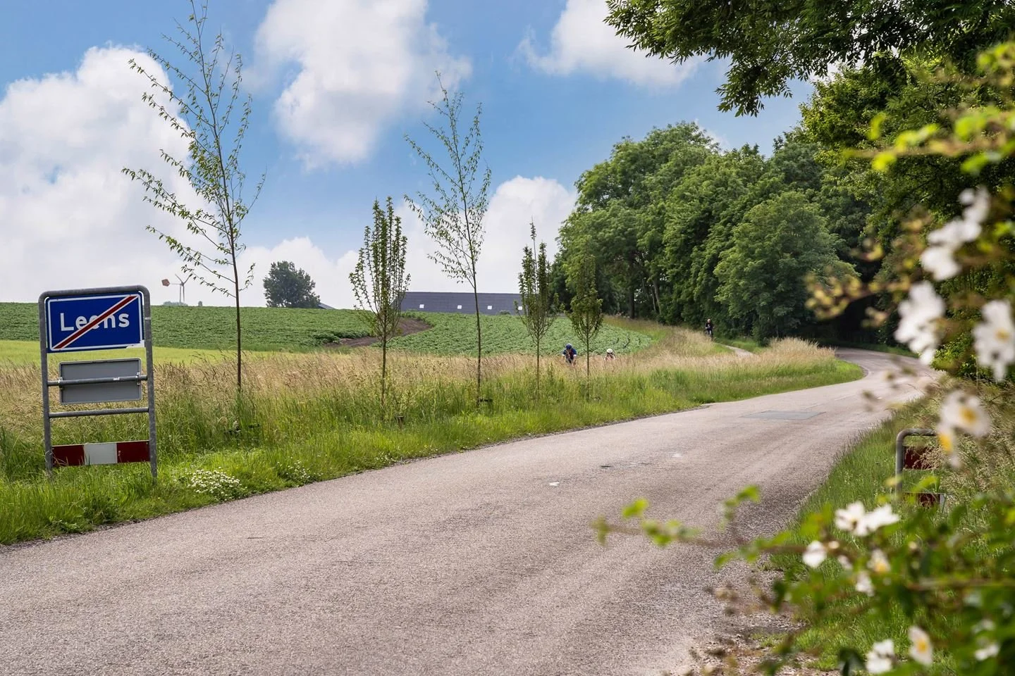 Landschap Groningen