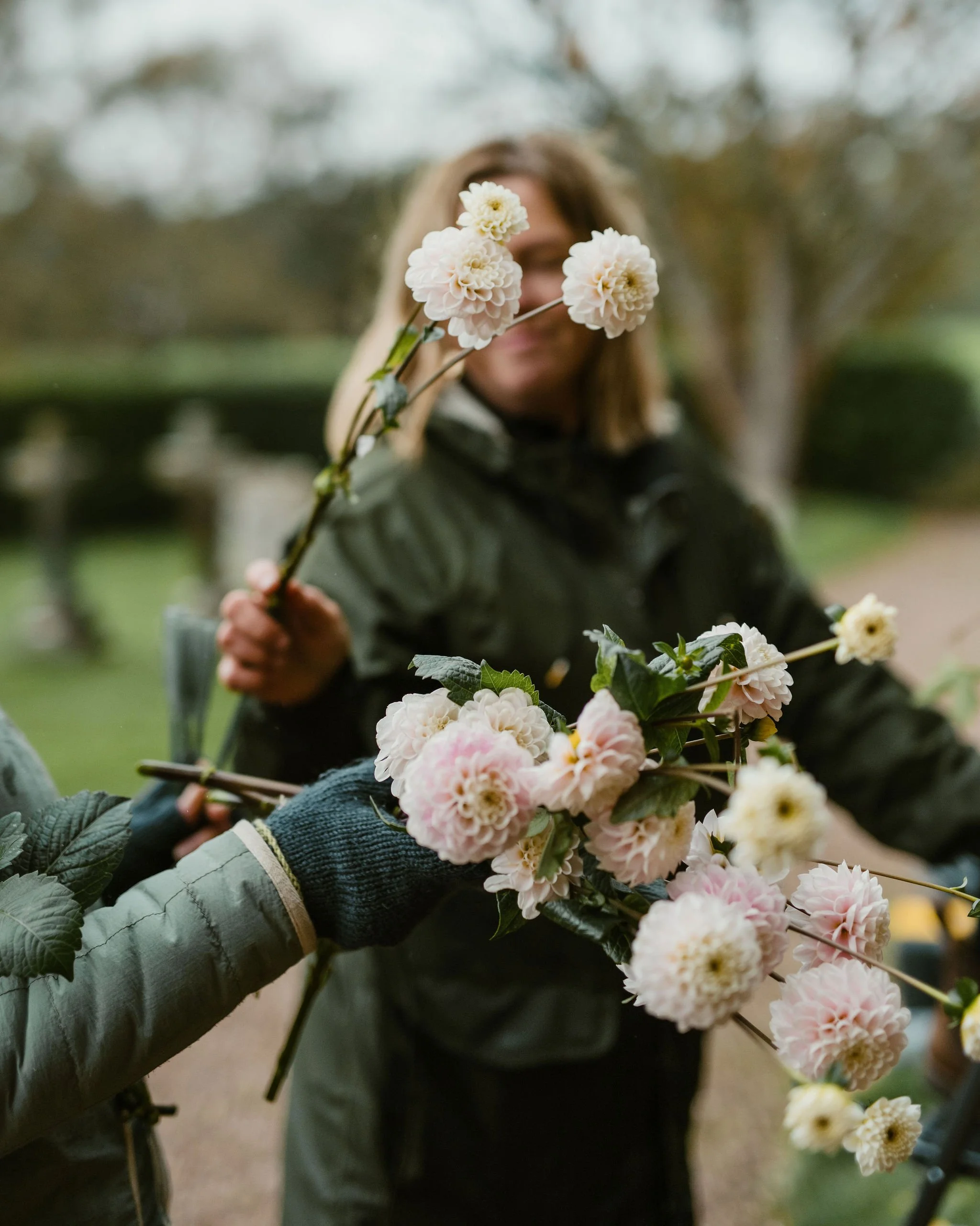 A person handing a bouquet of pink and white dahlias to another person outdoors.