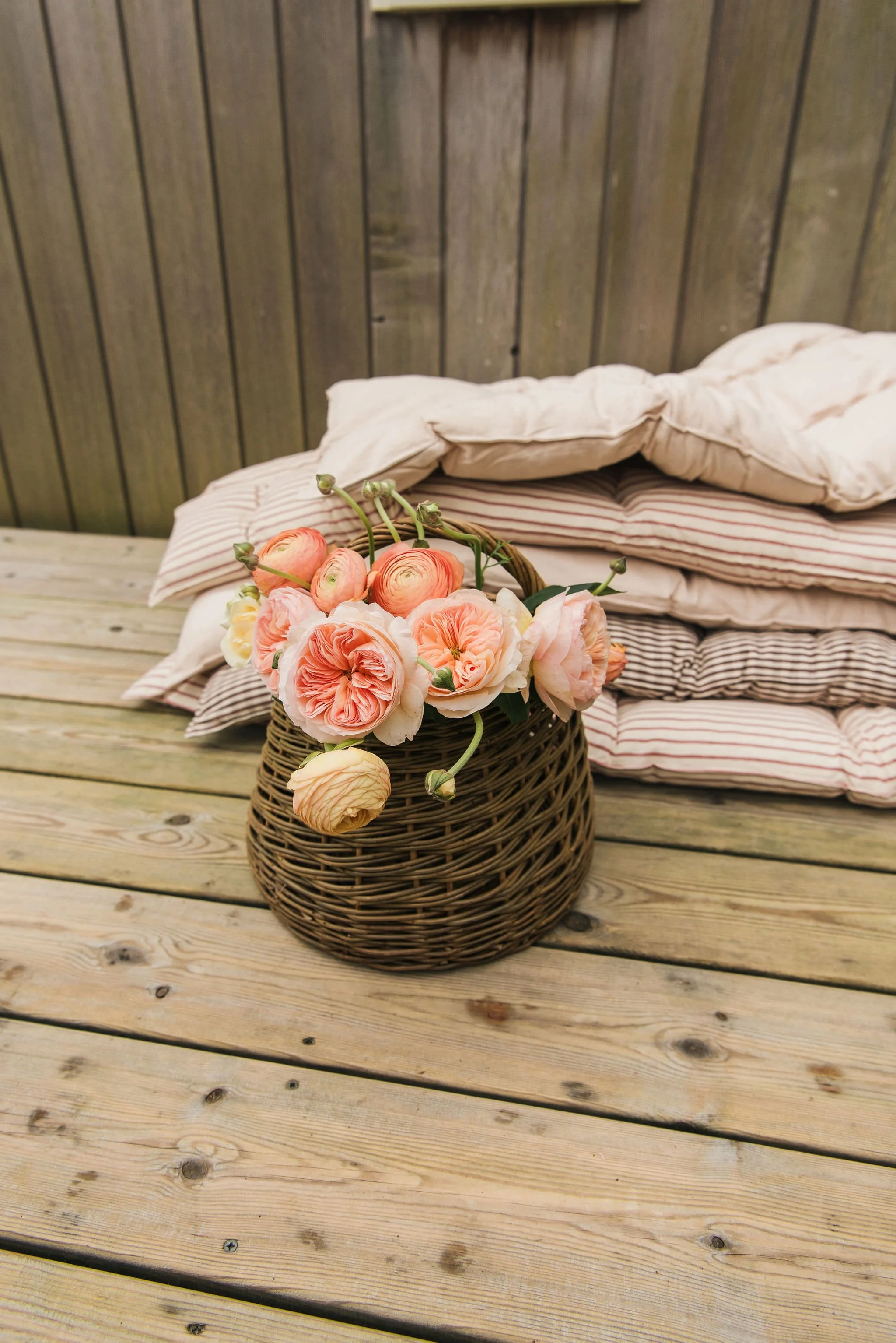 Sorbet Living lifestyle photoshoot by Kate Cullen (30).JPG