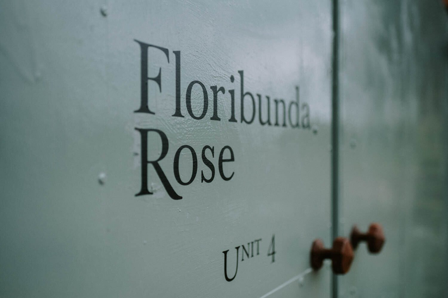 Floribunda Rose 30th June 2021 37.jpg