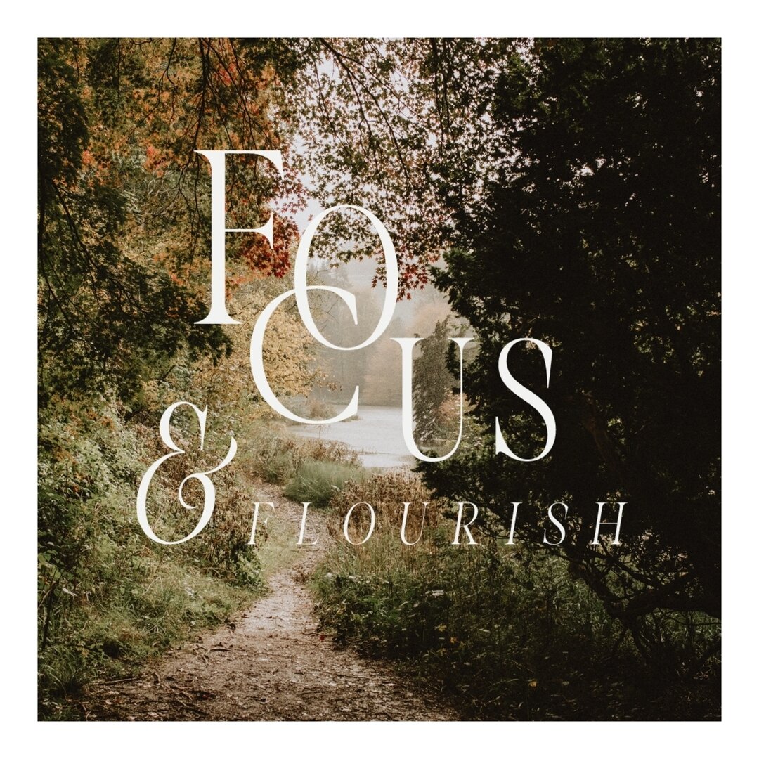 🌟 Focus &amp; Flourish - Finding your Photographic Style 🌟

Something new @alannaoneilphoto @lauraelizabethpatrick and I have been working on lately for early career photographers.

Join us for an enriching 3-day journey at the Focus &amp; Flourish