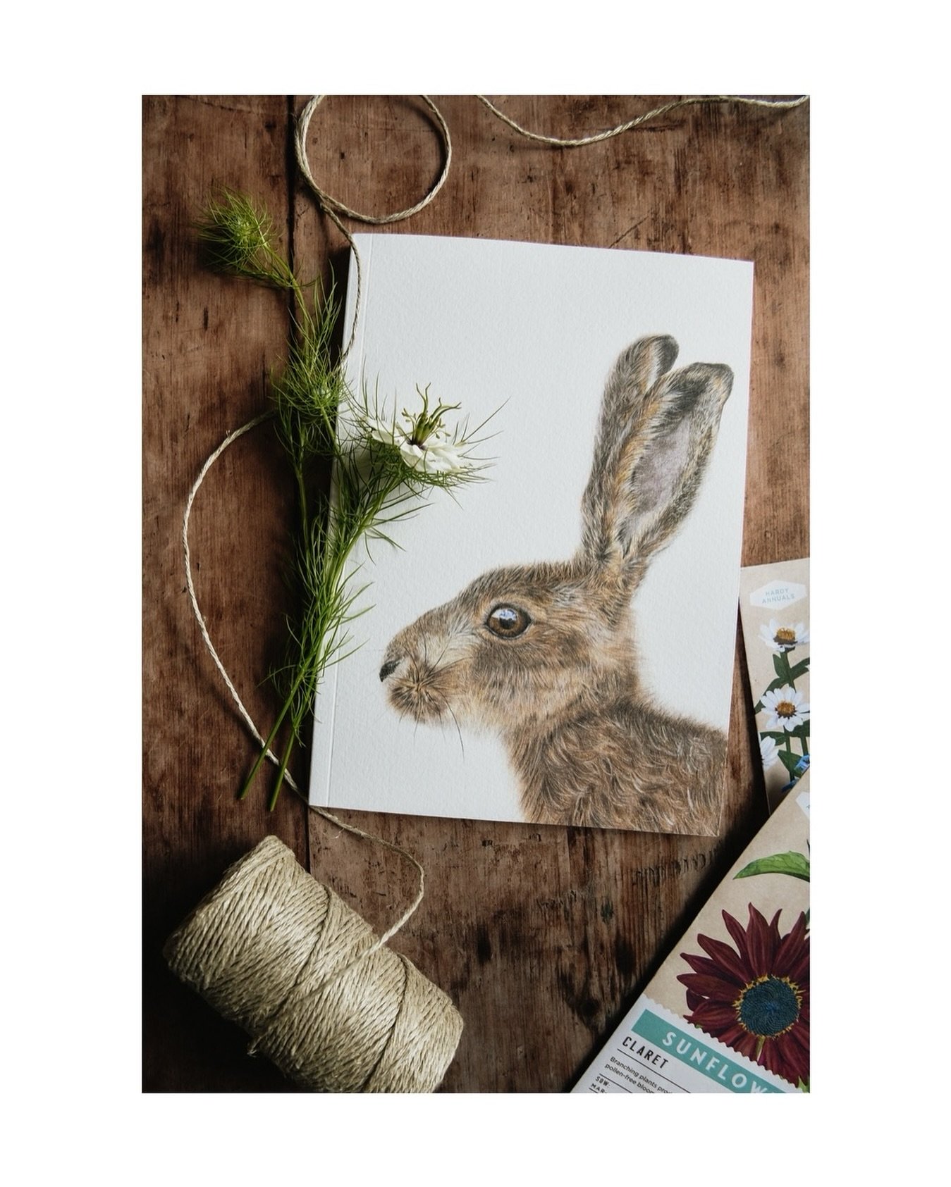 I&rsquo;ve had the pleasure of photographing all @rachel_grace_art&rsquo;s beautiful products ready for her website launch coming soon!

This hare notebook is one of my favourites, isn&rsquo;t she talented?

#pencilartist #hare #britishwildlife #brit