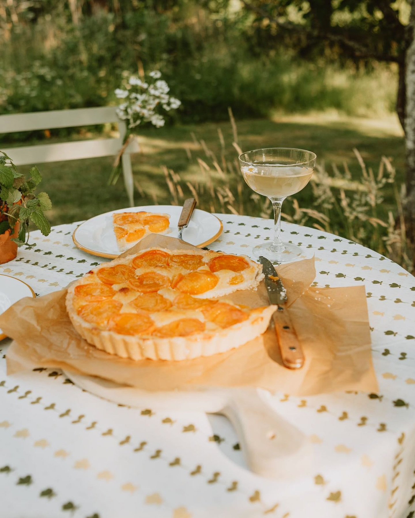 Happy solstice all&hellip; 

📸 for the talented @megan_haigh_surface_design this week.

Location via @fablefaine 

#brandphotographer #brandphotography #lifestylephotography