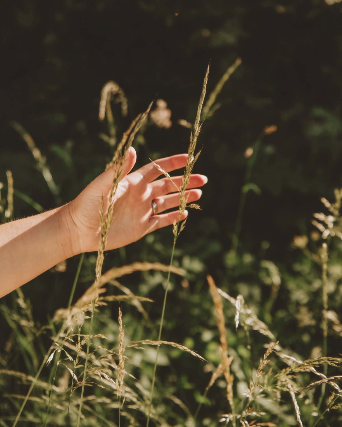 Golden summer&hellip;

📸 for @megan_haigh_design 

#summermood #goldensummer #countrysidephotography #lifestylephotographeruk
