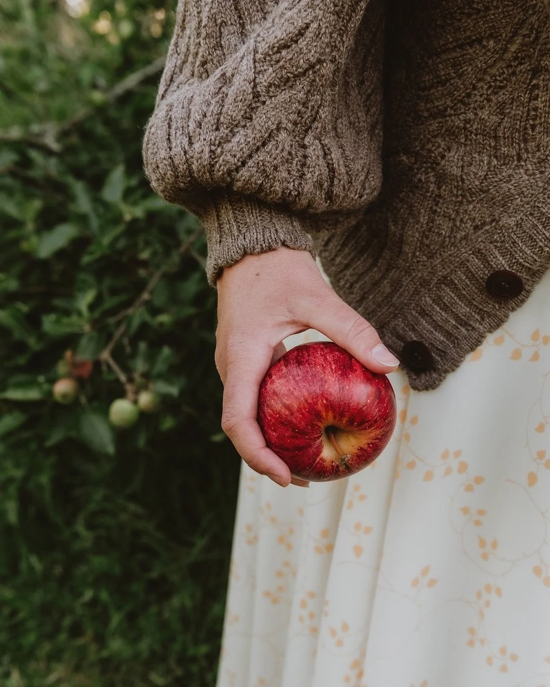 Another day spent picking some apples.. the scent of them filling the air and heralding autumn.

Even chilly enough to be welcoming another layer - I highly recommend @herdwear - beauty and warmth in one! 

Plus a bonus if you can add a touch of cott