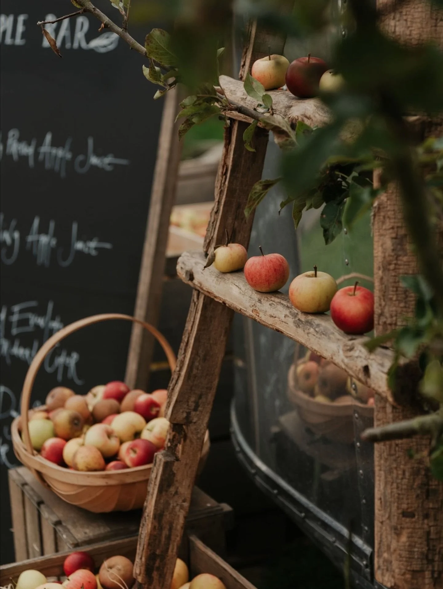 Apple season @daylesfordfarm 

Do pop along to the heritage craft event today if you can - so many wonderful artisans - and with a mug of apple juice or cider!

#daylesford #appleseason #appleharvest #applejuice #cidermaking