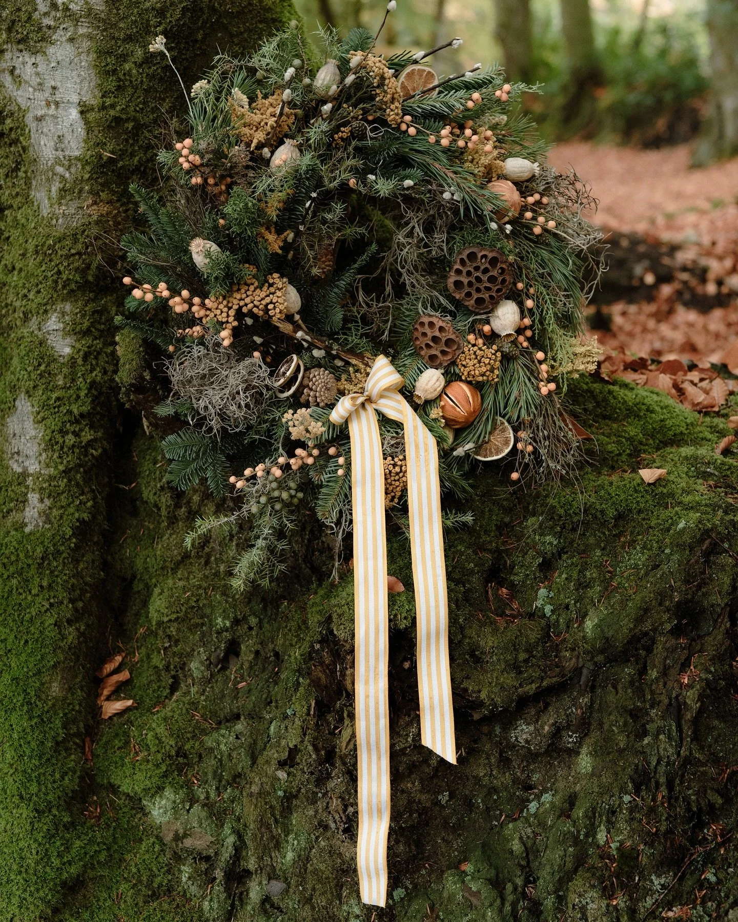 Forest wreaths by @brambleandwild - too beautiful for words.. 

#wreathseason #festiveetsyfinds #christmasiscoming #brandphotography #photographyforflorists