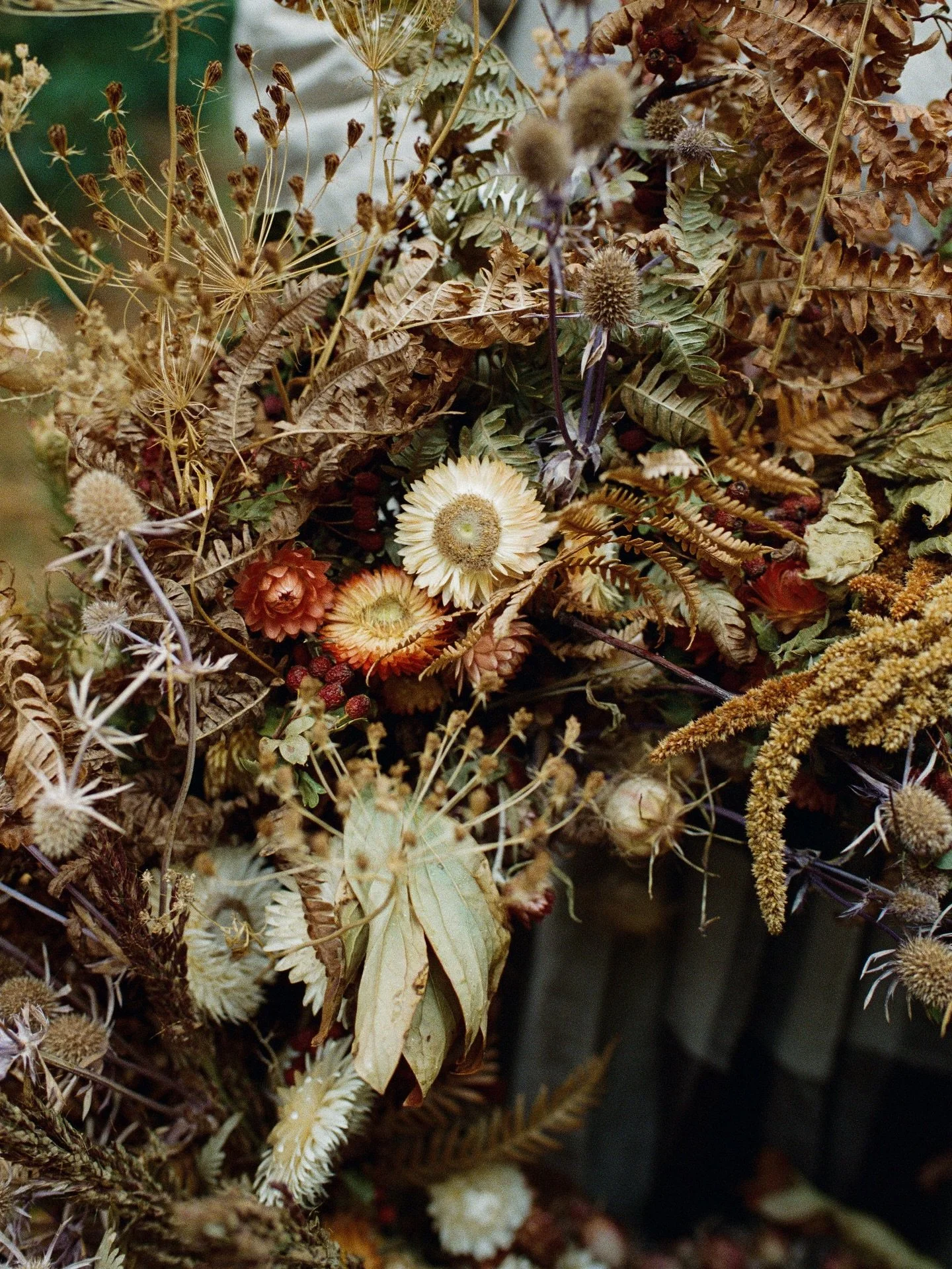 Film Friday&hellip;

I learnt to photograph on film.. and always come back to it&hellip; thank you @nikoneurope for your still fabulous F5 and to @kodak for #kodakportra800 - facilitating shooting in the rain in England in October!

Scans by @analogu