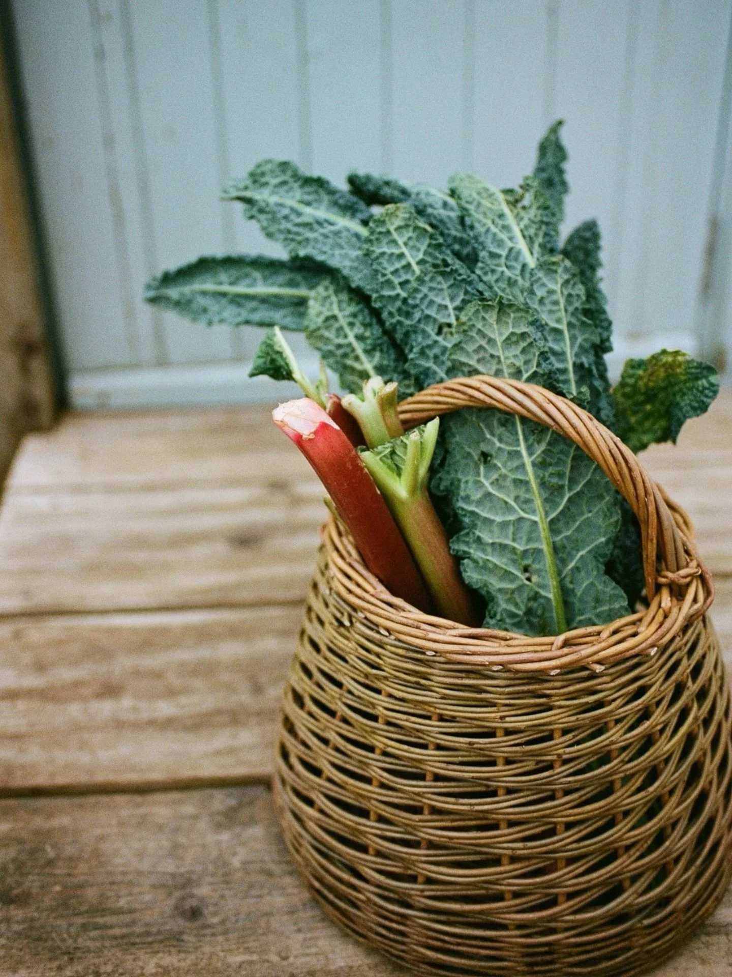 Film Friday&hellip;

Shot on Nikon F5 with #kodakportra400 for @sorbetliving