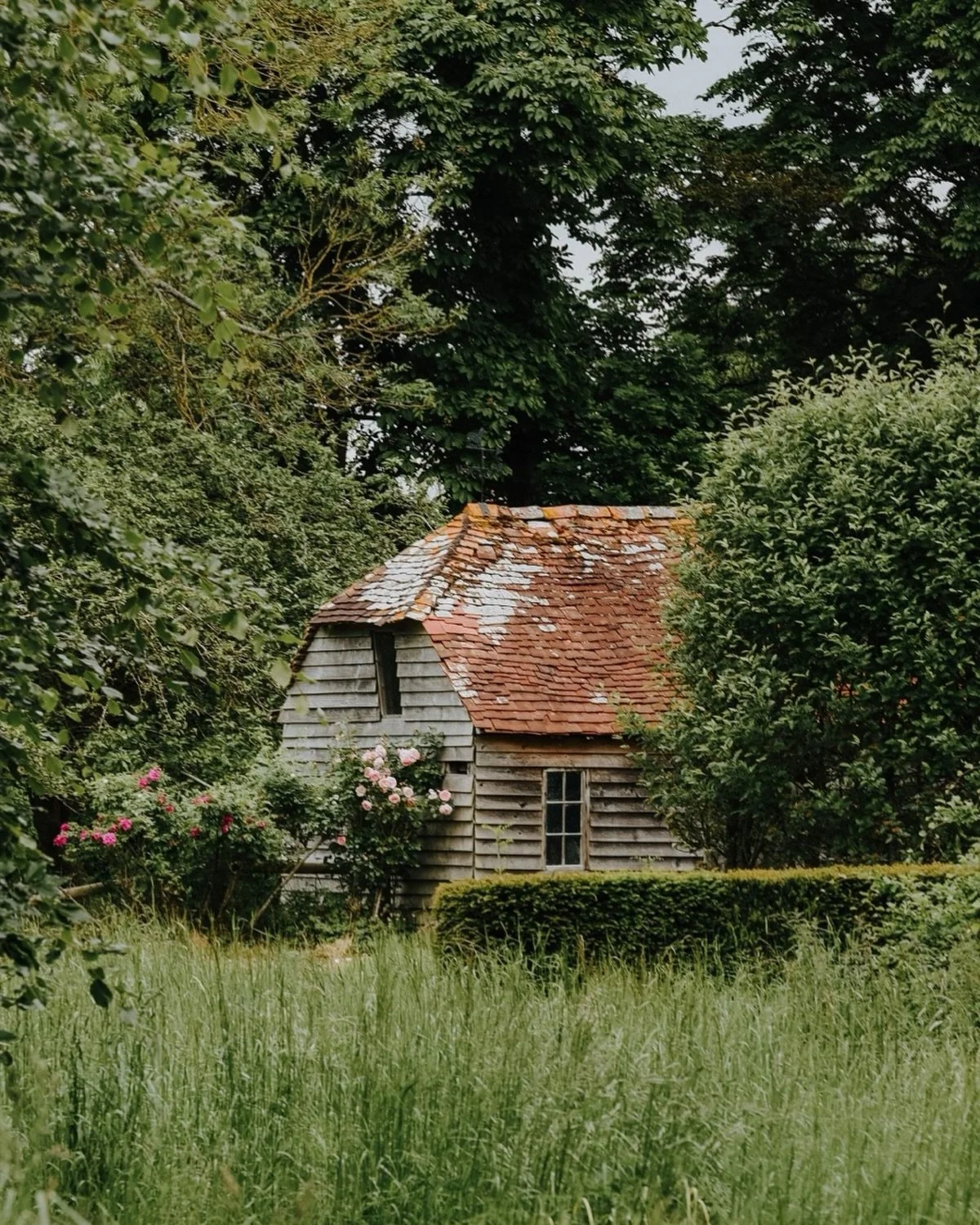 I can&rsquo;t wait for everything to be this green again&hellip;