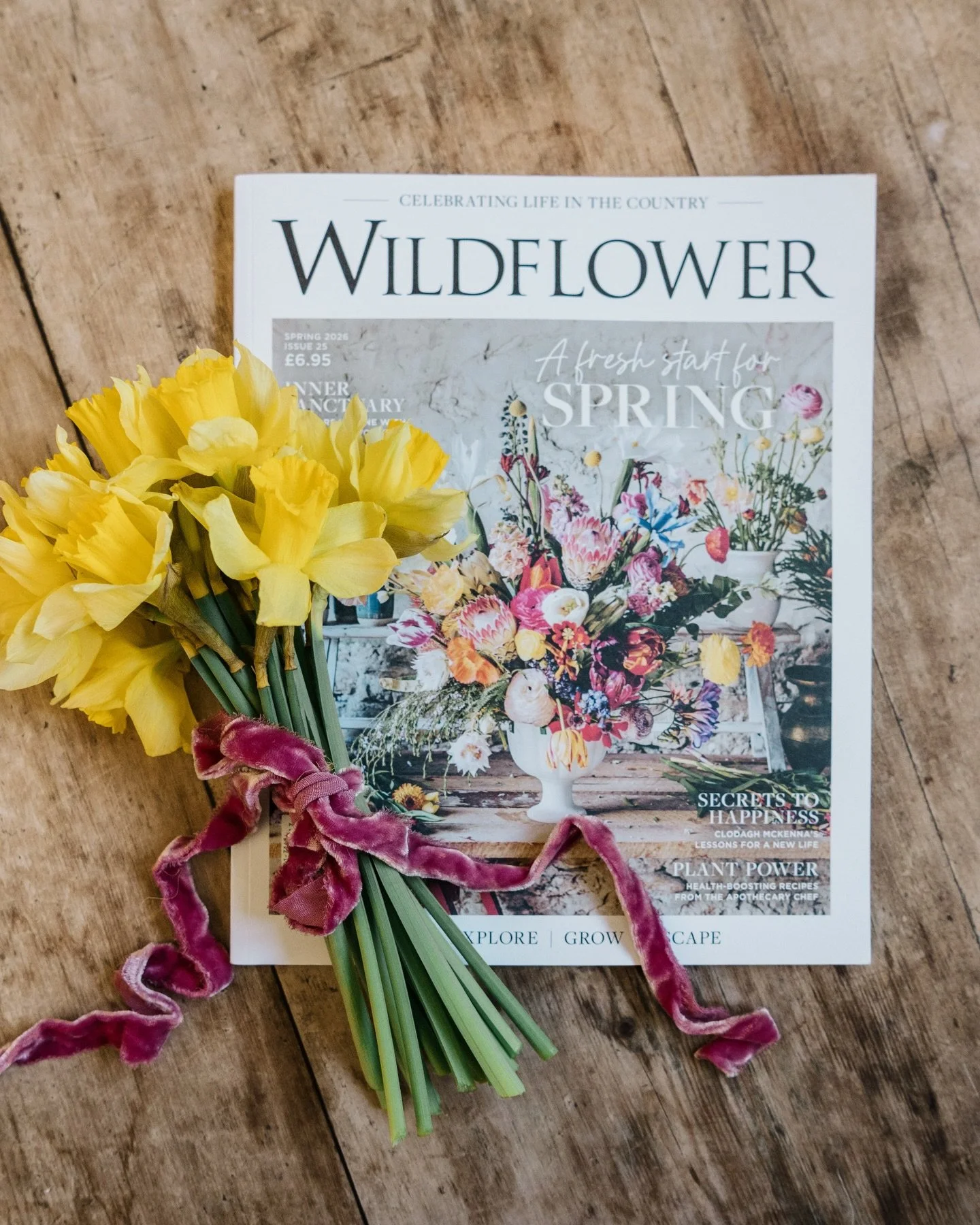 Thrilled to be in the beautiful spring issue of @wildflowermagazine with my work for @fablefaine 

Thanks to our wonderful exclusive to us locations @combeheadhouse @manor.estate.wiltshire @tattierosestudio @pauntley_court 

And also to several other