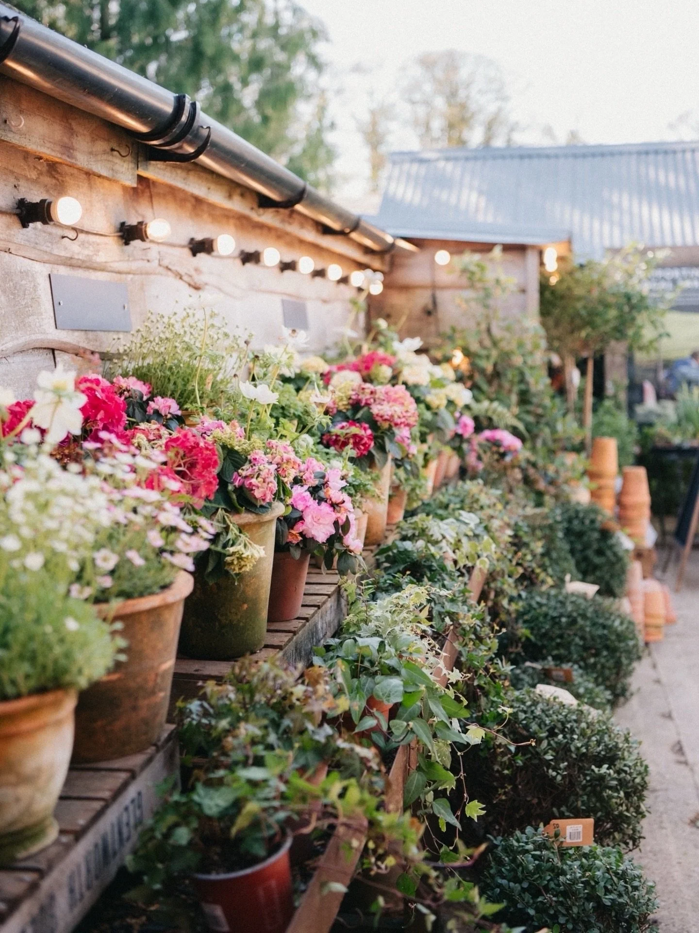 A beautiful day in the sunshine yesterday hatching plans with @an_acre_of_land at the gorgeous @jollynicefarmshop 

#brandconsultancy #brandphotography #countrysidebusiness