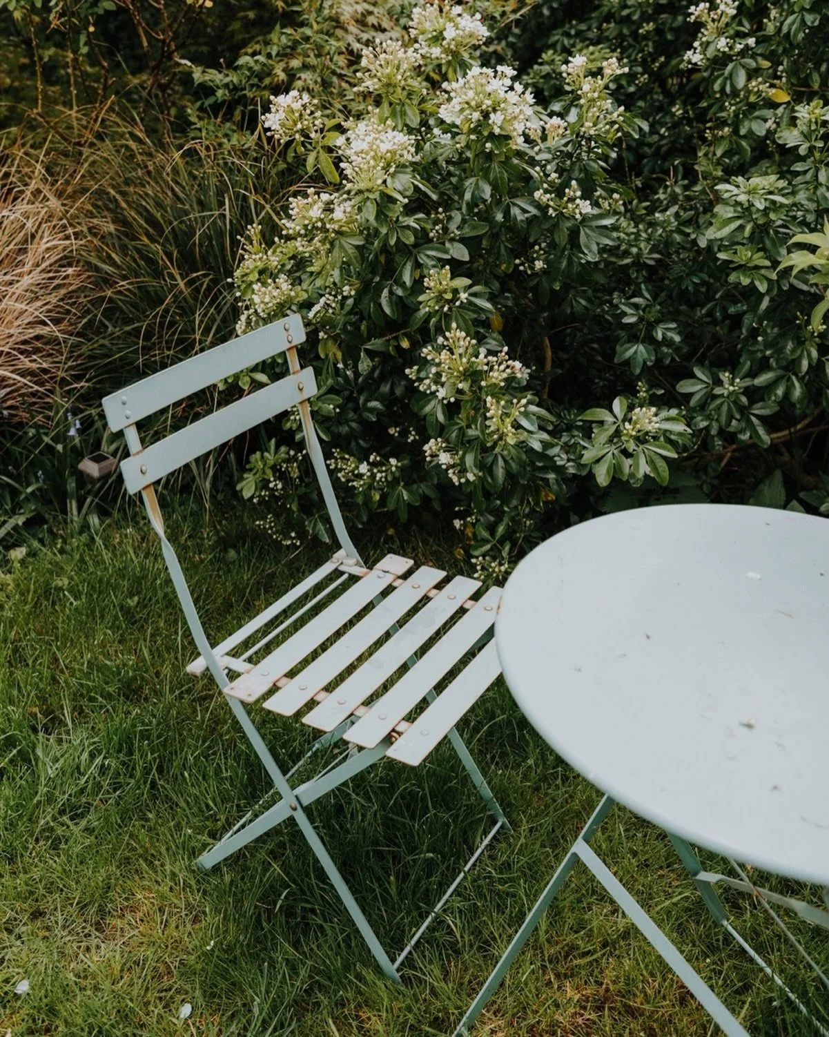 I do love spring&hellip; my favourite season..

#springhassprung #springishere #readyforspring