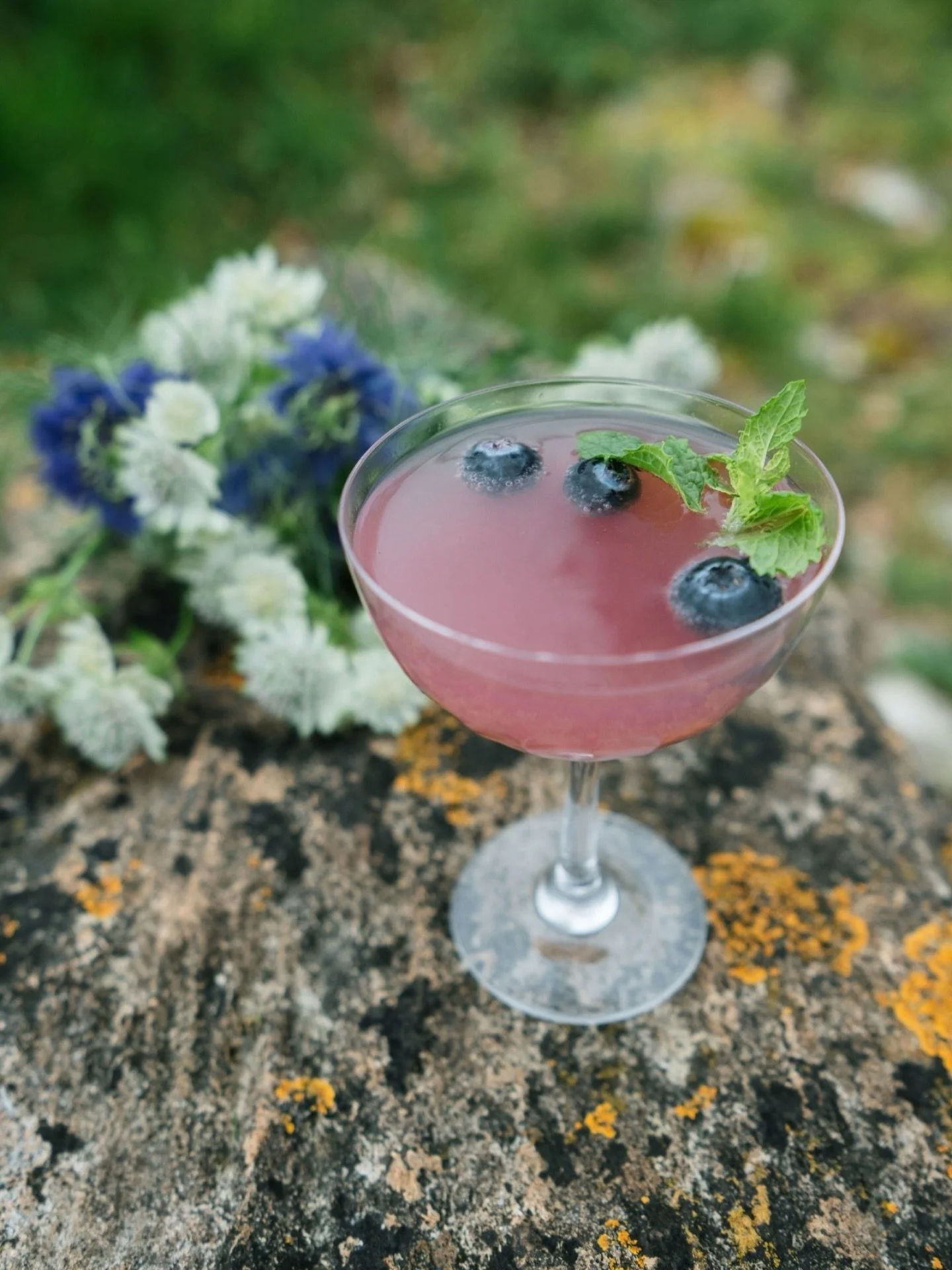 Time for a little drink after a day working in the garden.

Blueberry syrup, tonic, squeeze of lemon and a sprig of mint. 

Add gin if you like!

Flowers @scentiments_tetbury 
Champagne saucer from @domestic.science 
Story 📷 for @an_acre_of_land