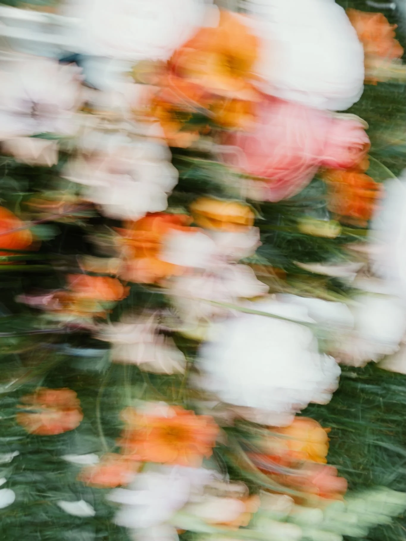 Flowers make me happy.

Overjoyed to be back shooting for @tallulahroseflowerschool this week.

A few bts shots with my @retropiacam lens and @archipelagopresets before I share the full wonder in a few days!

#flowerworkshop #floralart #flowerphotogr
