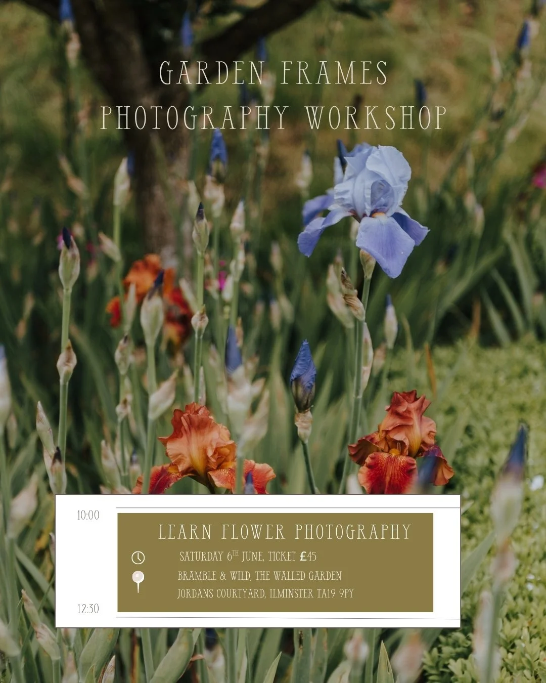Garden Frames Photography Workshop

A gentle, practical morning for anyone who wants to photograph gardens and flowers with more intention, and come home with images that you want to frame.

We&rsquo;ll spend 2.5 hours at the beautiful Bramble &amp; 