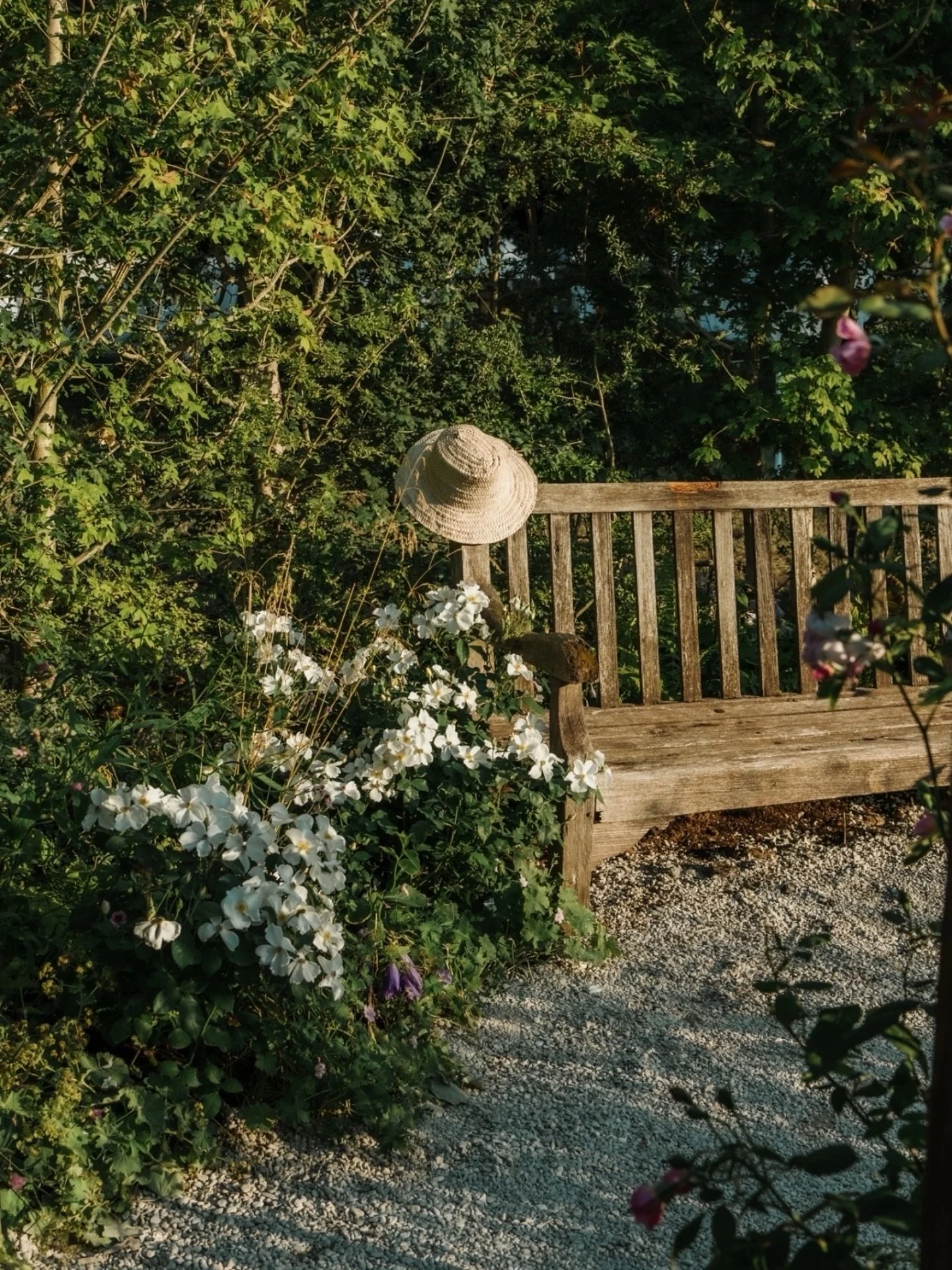 Such fun walking around The Archers garden at RHS Badminton on Wednesday evening with the lovely @aimeefranciscopywriter_ - a beautiful design by @jothompsongarden 

Stunning details which were really fun to link up to the programme. 

#rhsbadminton 