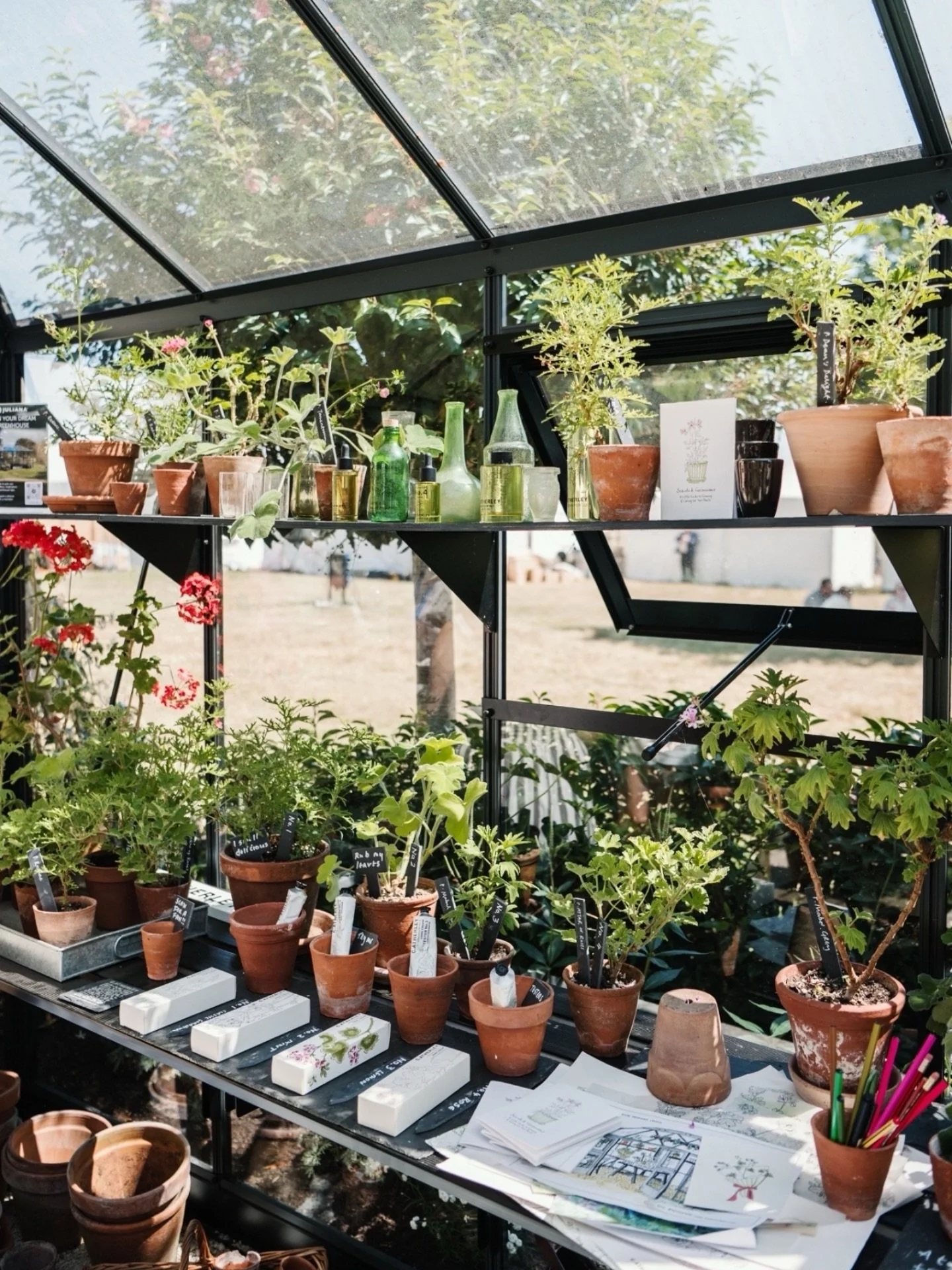 More details from this magnificent show garden from @juliana_greenhouses @nicholsons_uk @c.atherleylondon @fibrex_nurseries 

Just adore pelargoniums and their scents.

#rhsbadminton #gardenphotographer